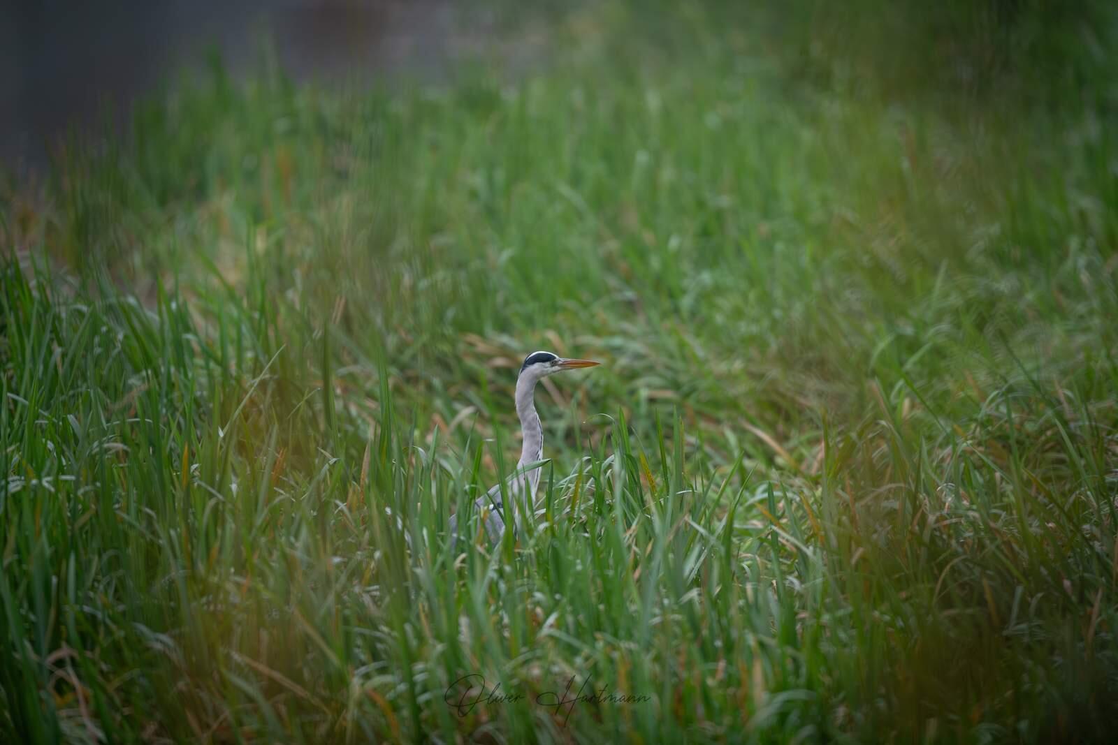Bild ohne Beschreibung Bild ohne Beschreibung