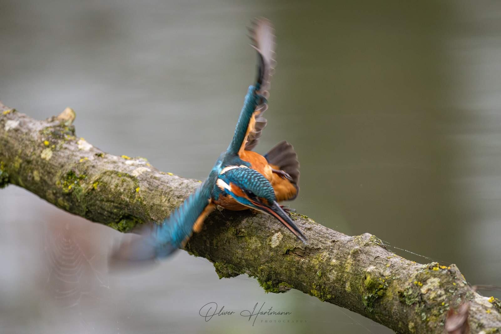 Bild ohne Beschreibung Bild ohne Beschreibung