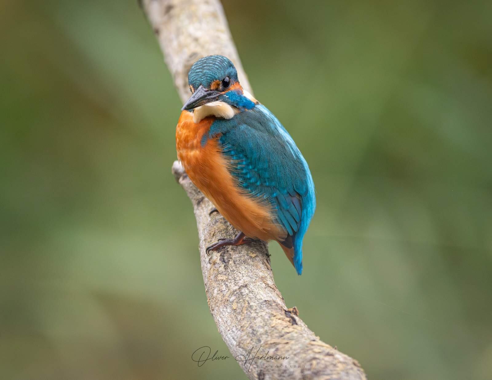 Bild ohne Beschreibung Bild ohne Beschreibung