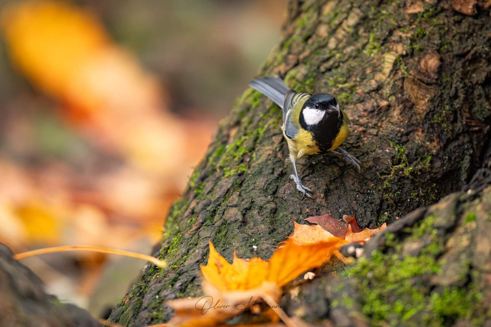 Bild ohne Beschreibung Bild ohne Beschreibung