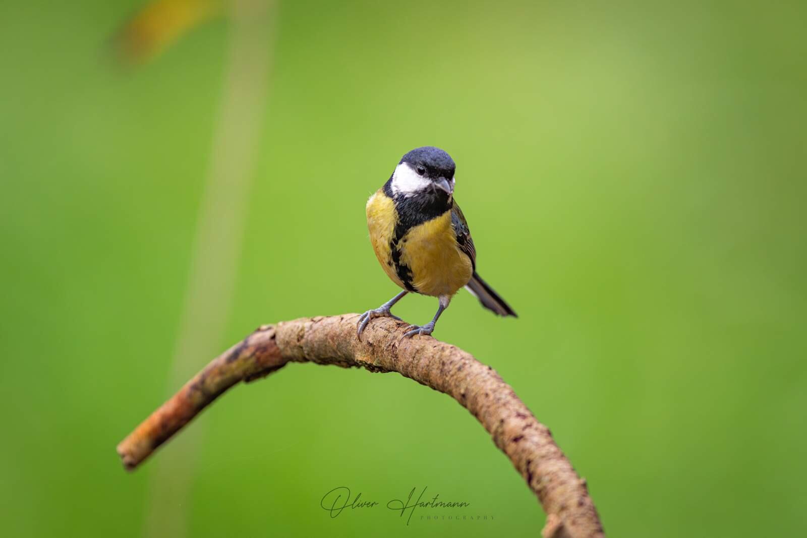 Bild ohne Beschreibung Bild ohne Beschreibung
