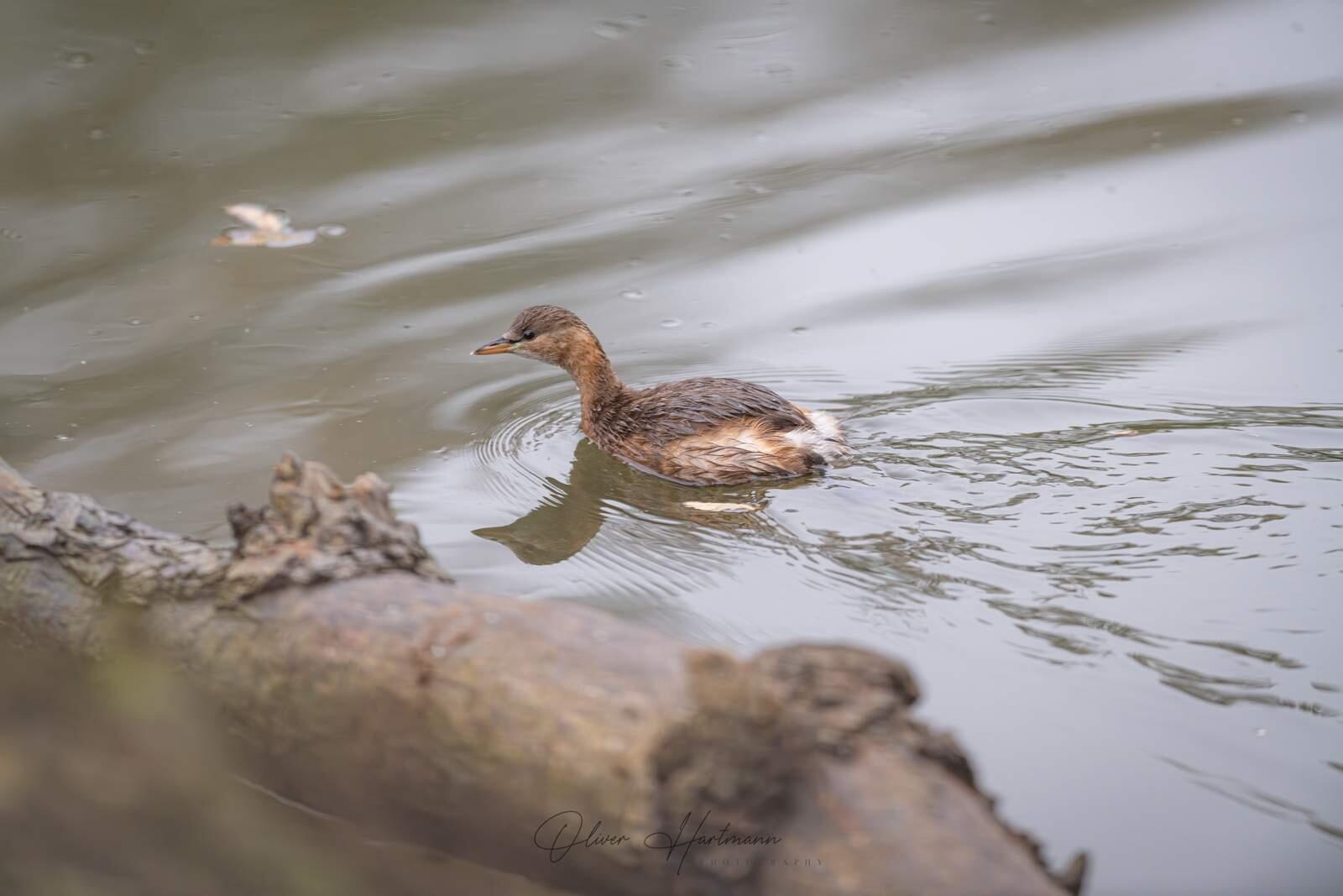 Bild ohne Beschreibung Bild ohne Beschreibung