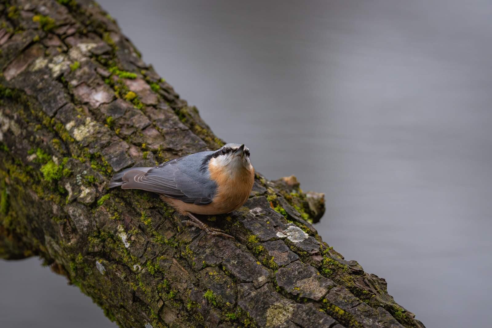 Bild ohne Beschreibung Bild ohne Beschreibung