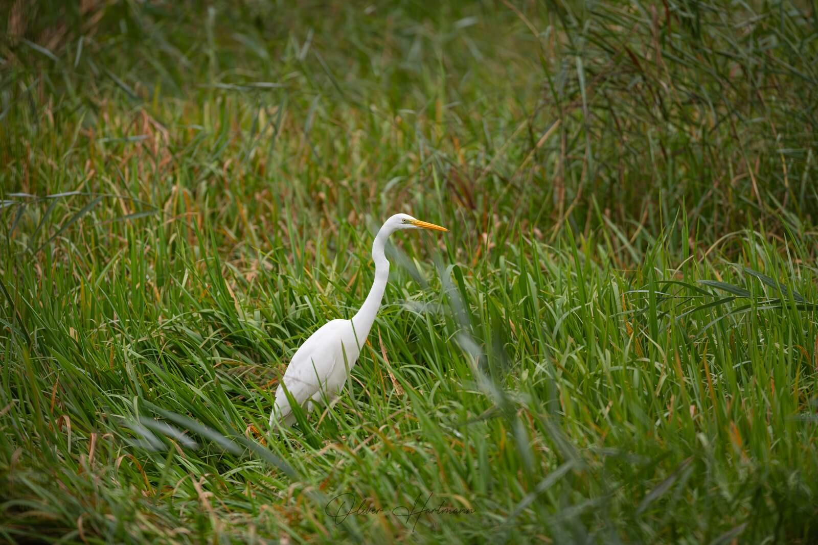Bild ohne Beschreibung Bild ohne Beschreibung