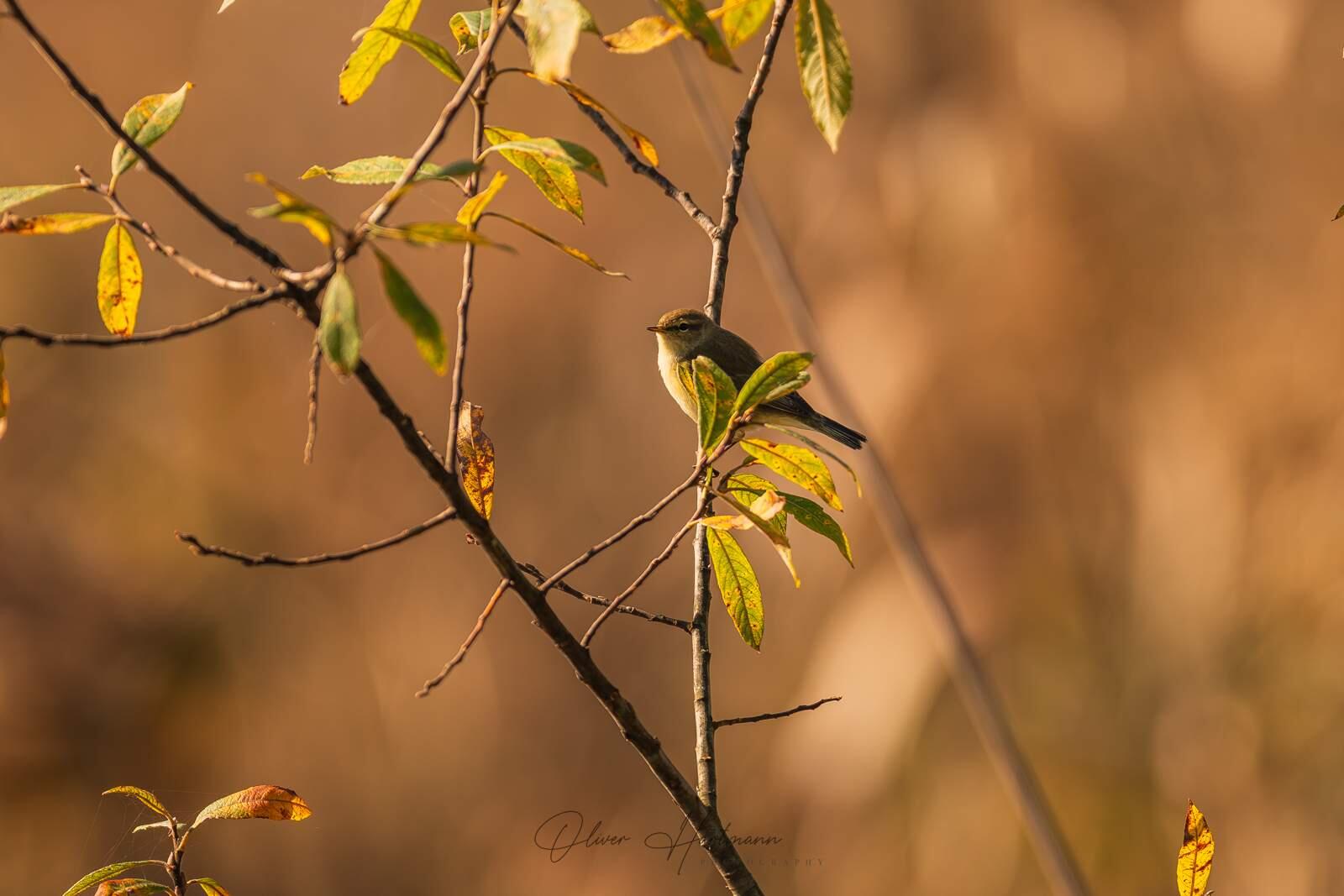 Bild ohne Beschreibung Bild ohne Beschreibung