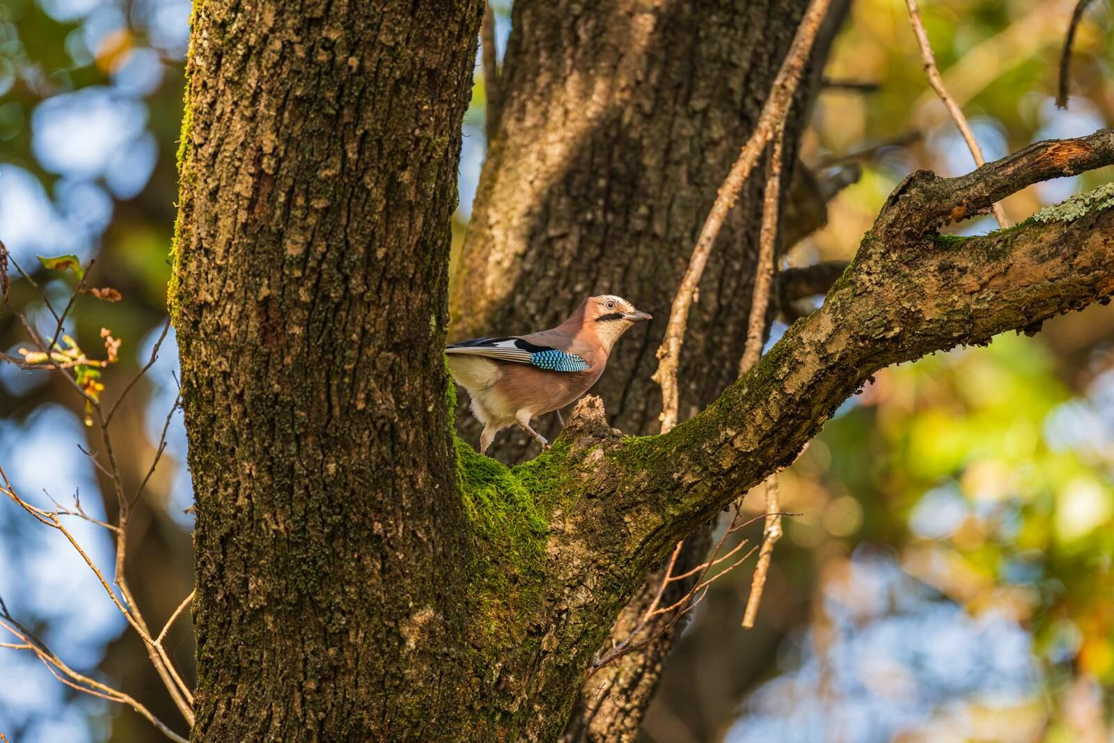 Bild ohne Beschreibung Bild ohne Beschreibung