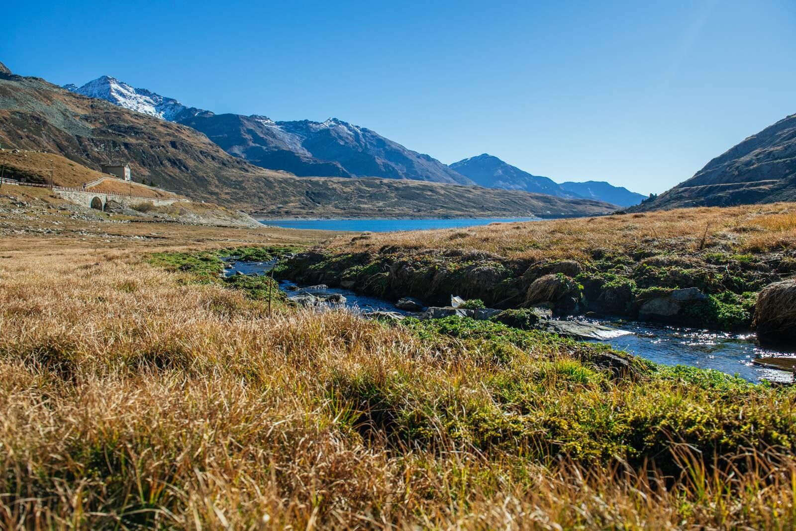 Bild ohne Beschreibung