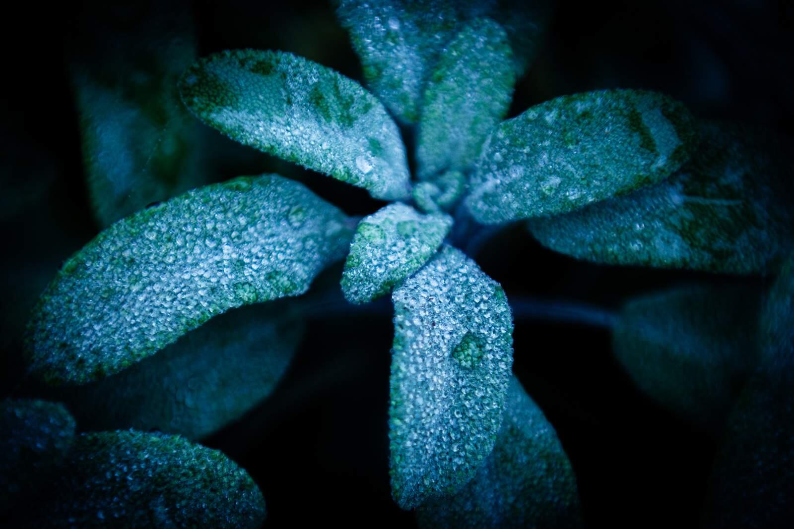 Bild ohne Beschreibung Bild ohne Beschreibung