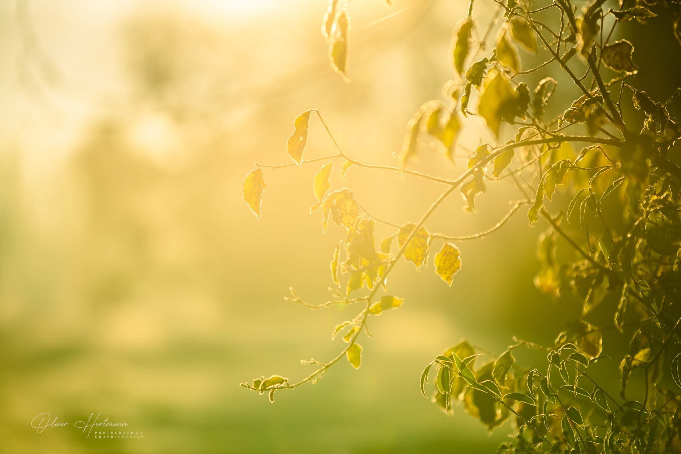 Bild ohne Beschreibung Bild ohne Beschreibung