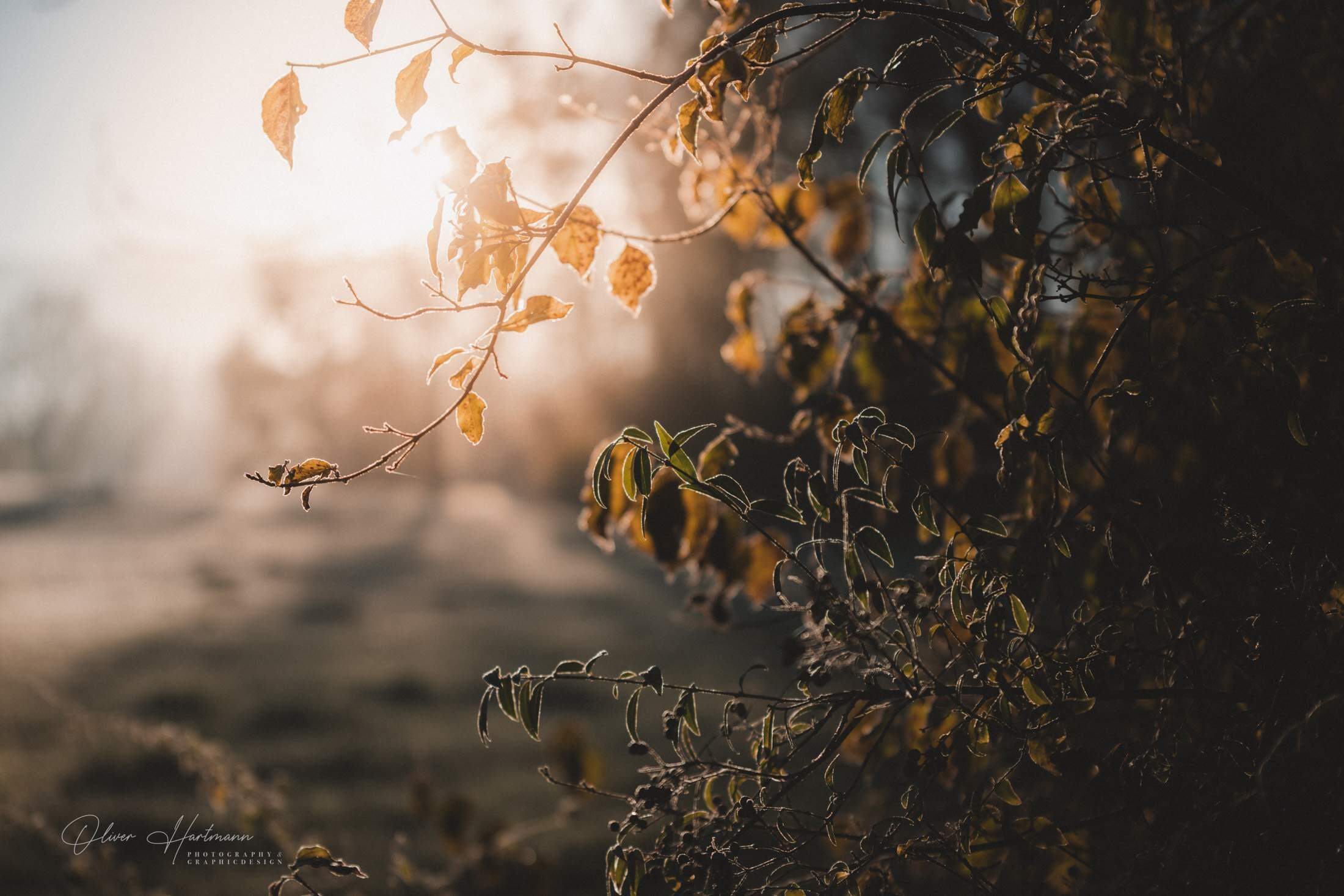 Bild ohne Beschreibung Bild ohne Beschreibung