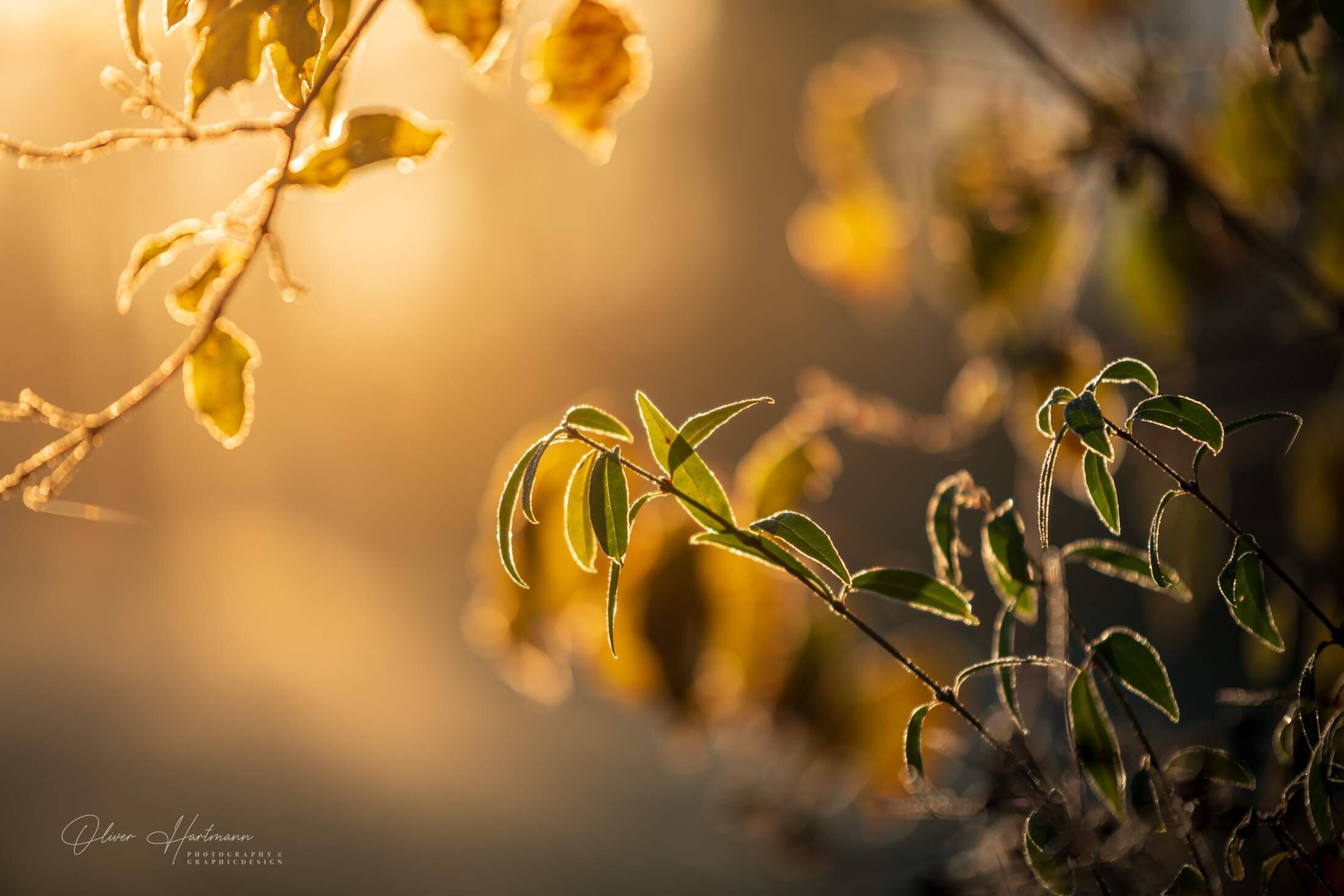 Bild ohne Beschreibung Bild ohne Beschreibung