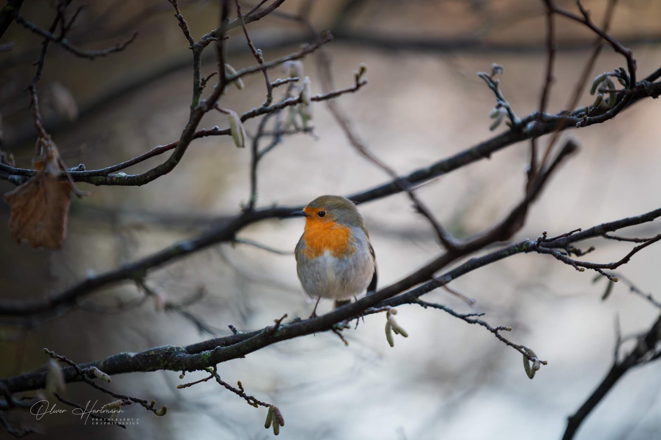 Bild ohne Beschreibung Bild ohne Beschreibung