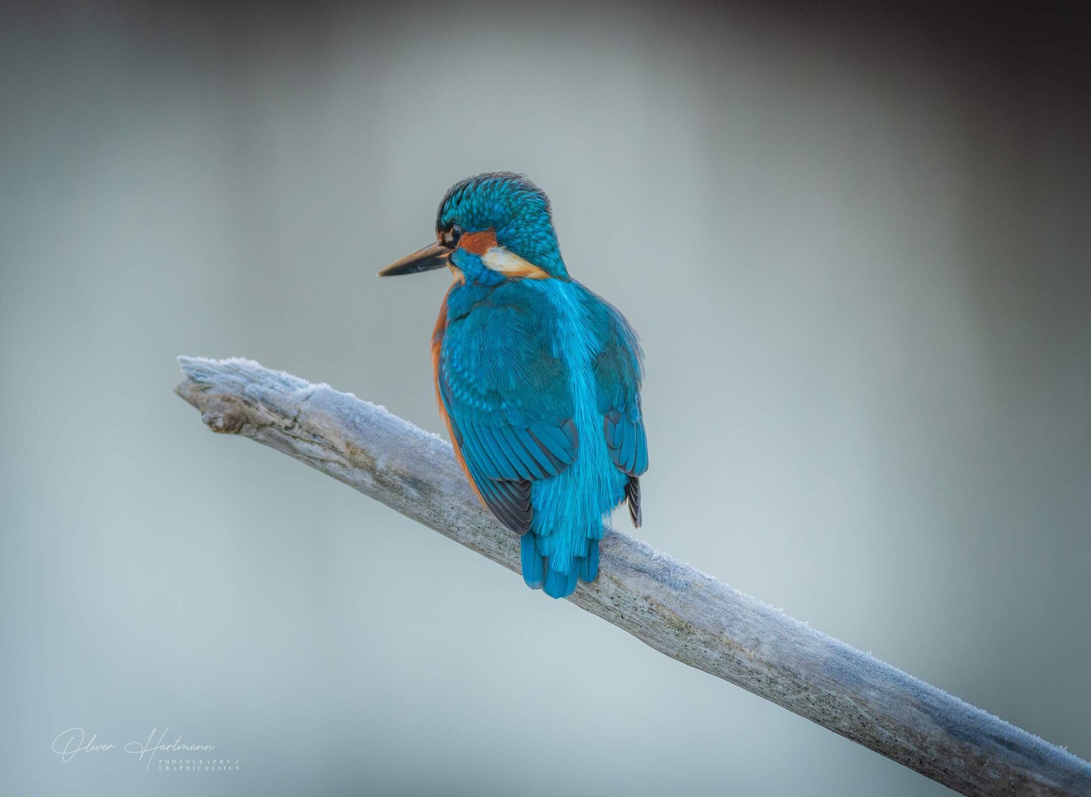 Bild ohne Beschreibung Bild ohne Beschreibung