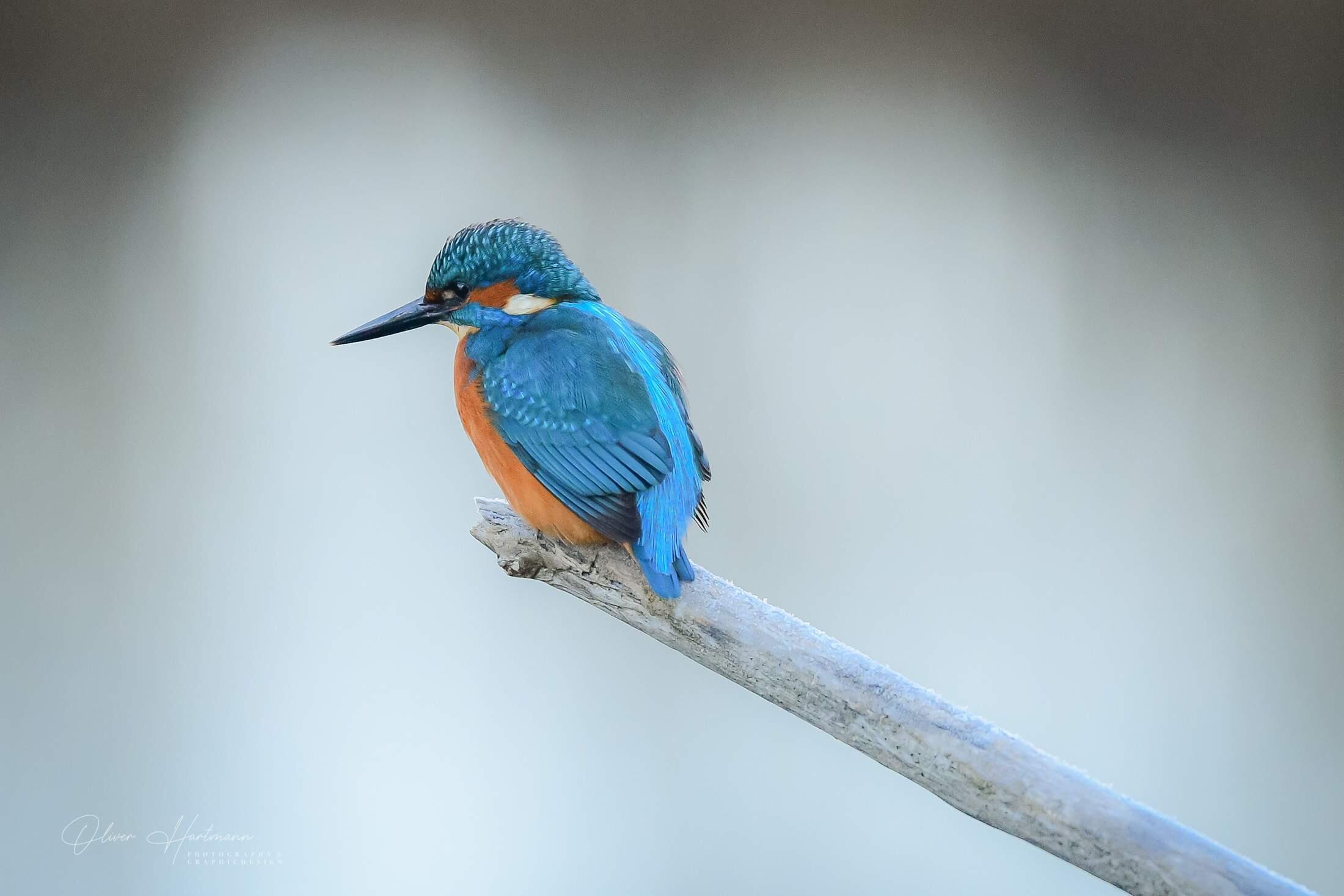 Bild ohne Beschreibung Bild ohne Beschreibung