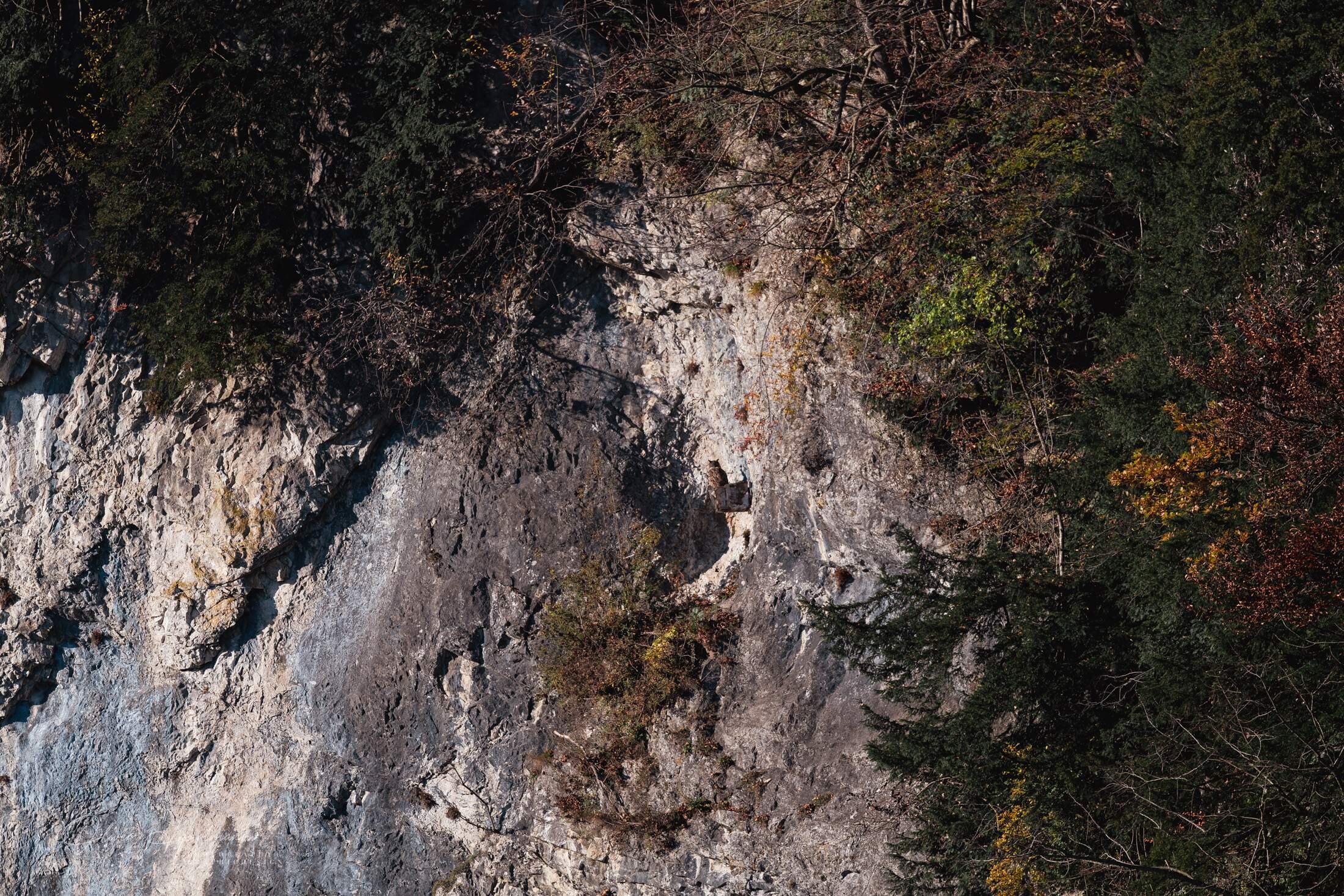 Bild ohne Beschreibung Bild ohne Beschreibung