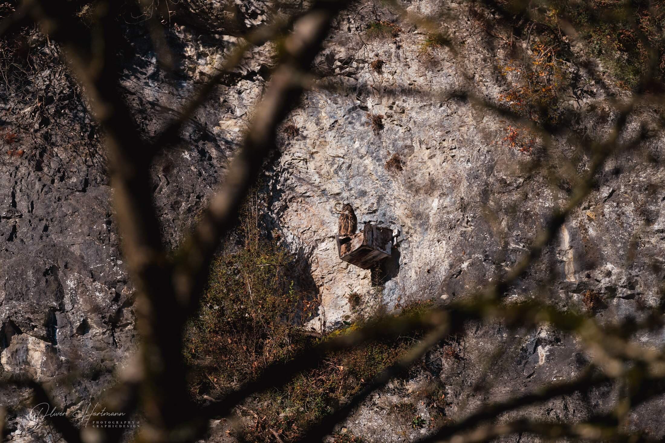 Bild ohne Beschreibung Bild ohne Beschreibung