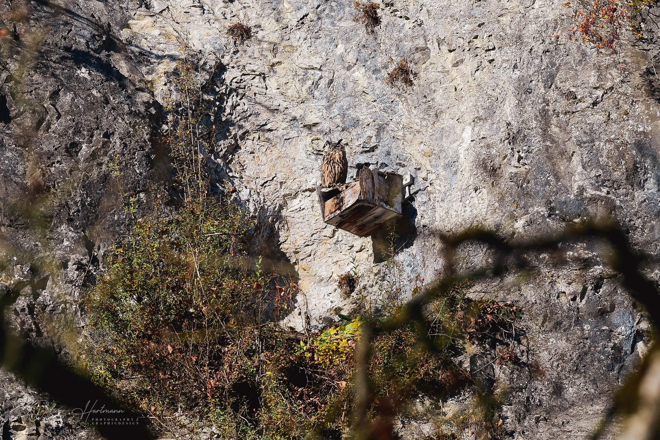 Bild ohne Beschreibung Bild ohne Beschreibung