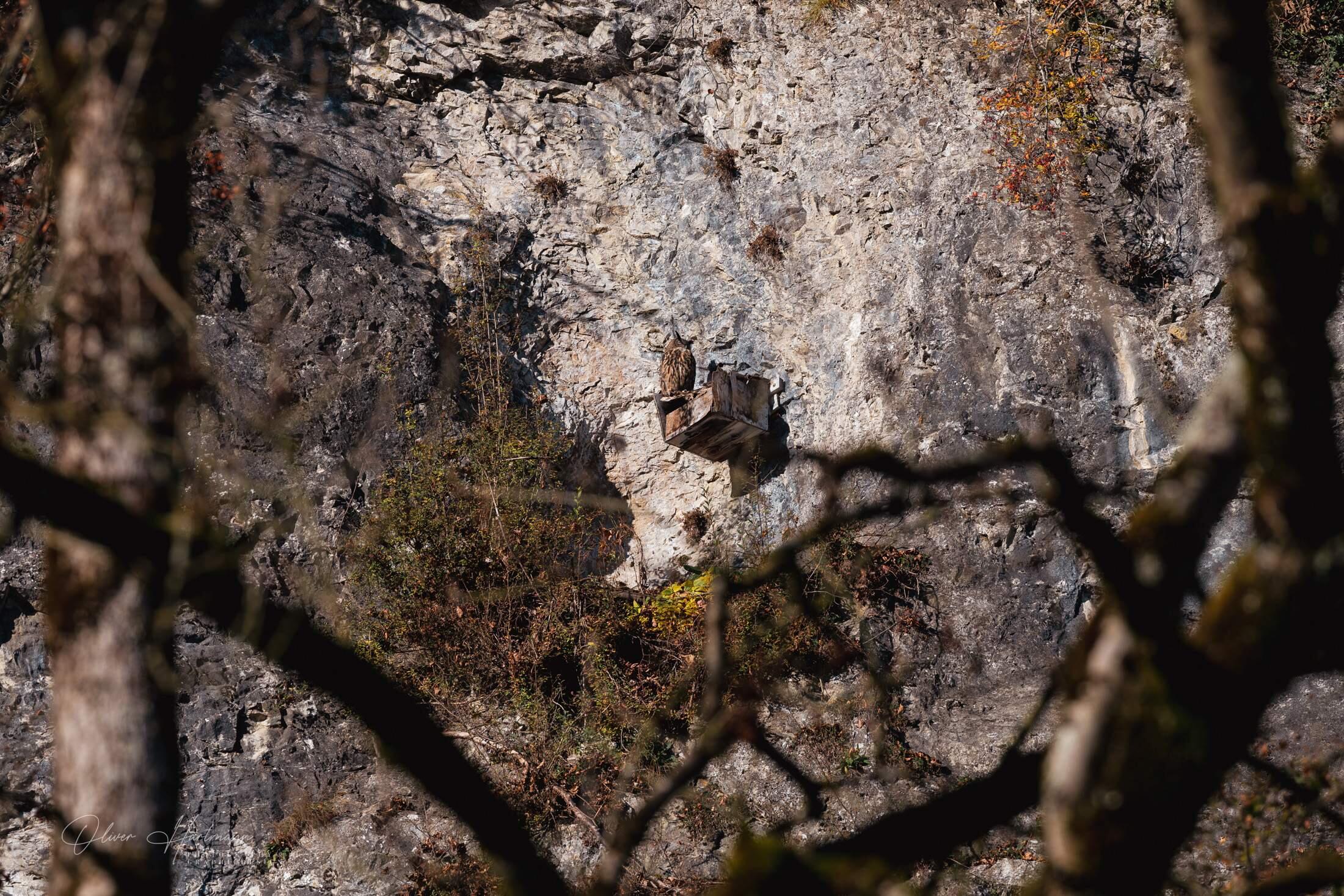 Bild ohne Beschreibung Bild ohne Beschreibung