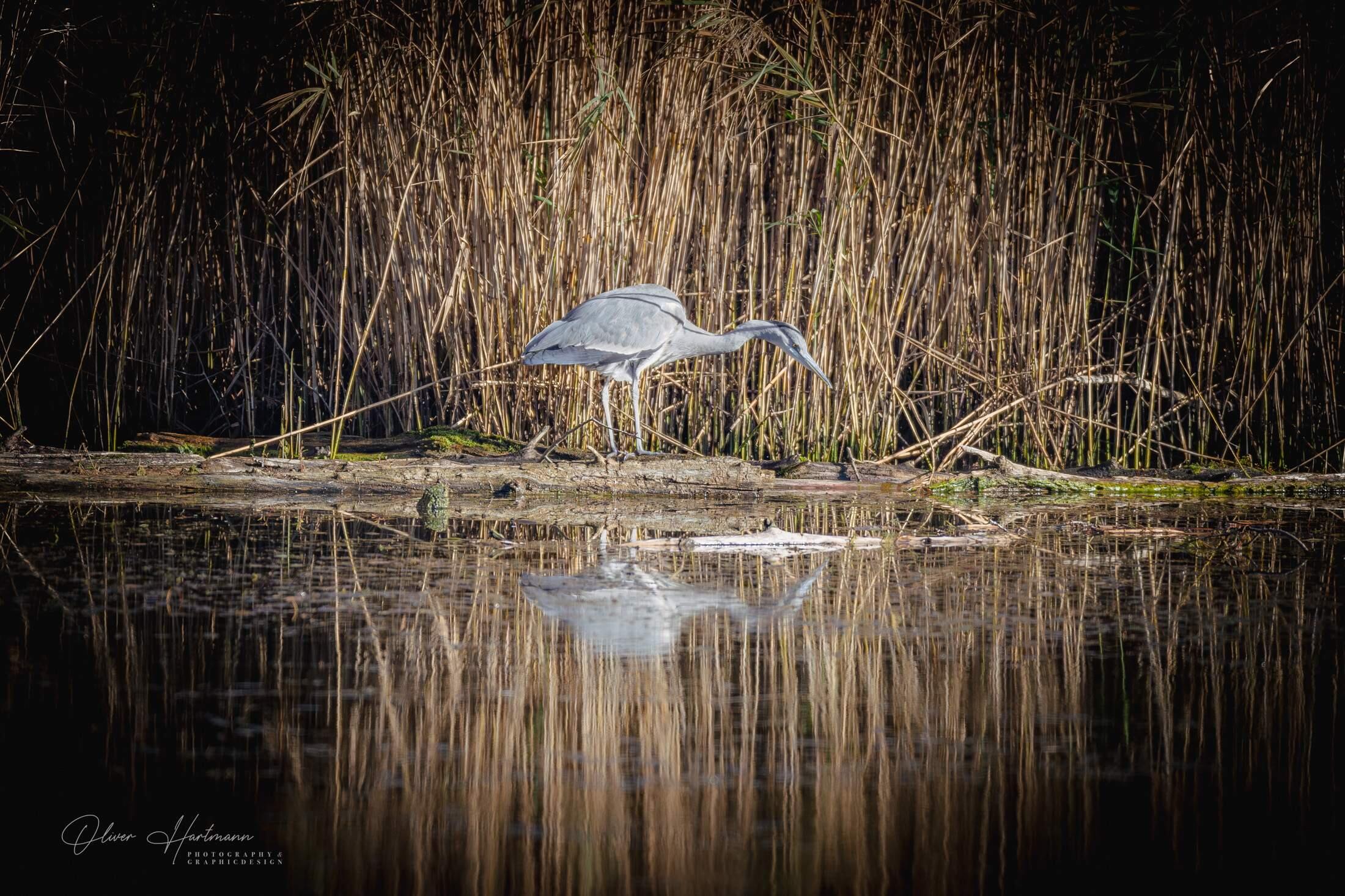Bild ohne Beschreibung Bild ohne Beschreibung