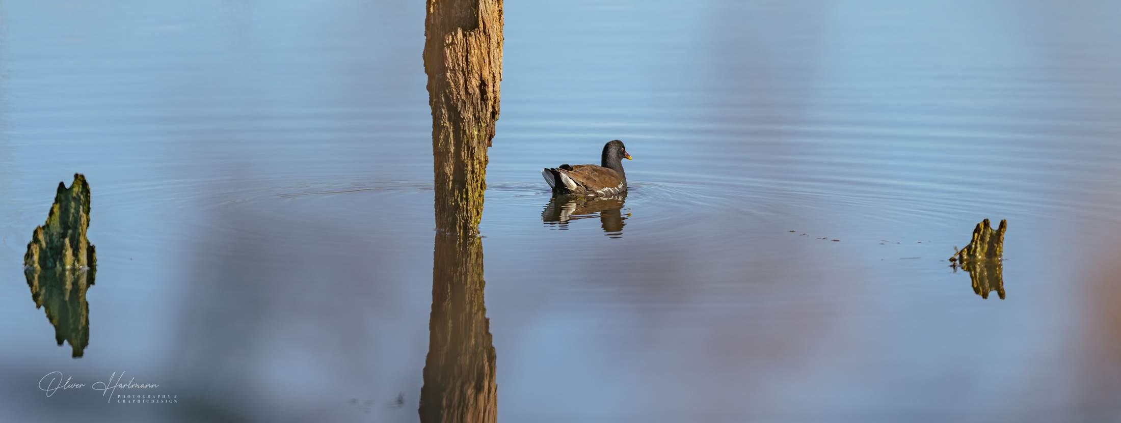 Bild ohne Beschreibung Bild ohne Beschreibung