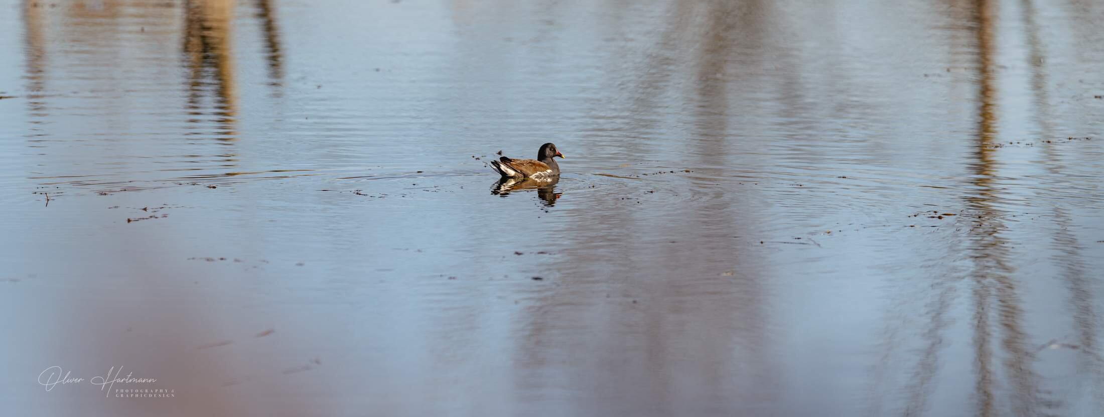 Bild ohne Beschreibung Bild ohne Beschreibung