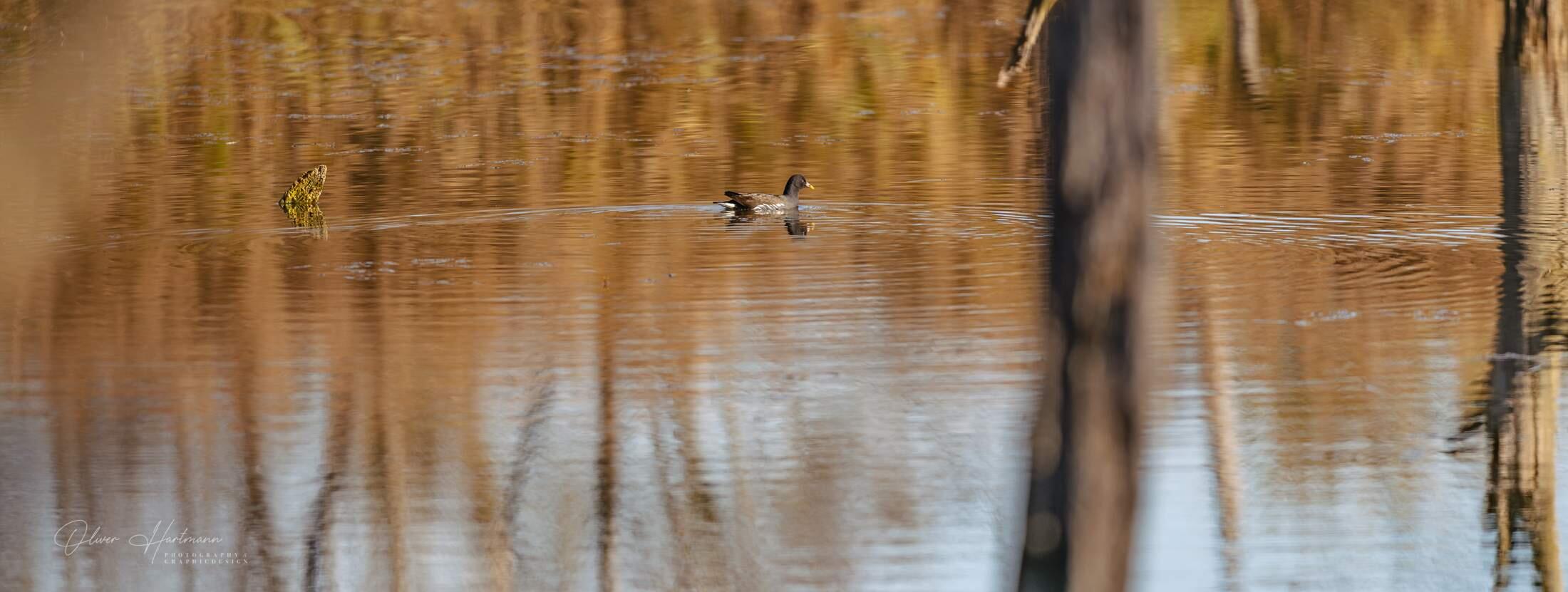 Bild ohne Beschreibung Bild ohne Beschreibung