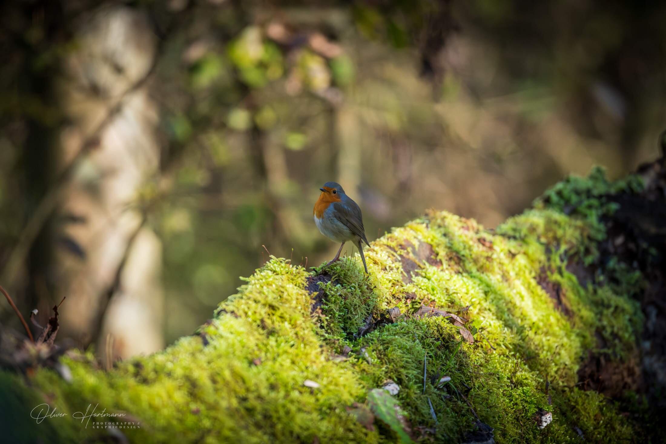 Bild ohne Beschreibung Bild ohne Beschreibung
