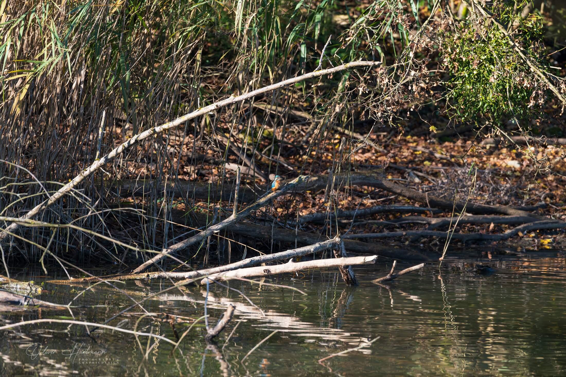 Bild ohne Beschreibung Bild ohne Beschreibung