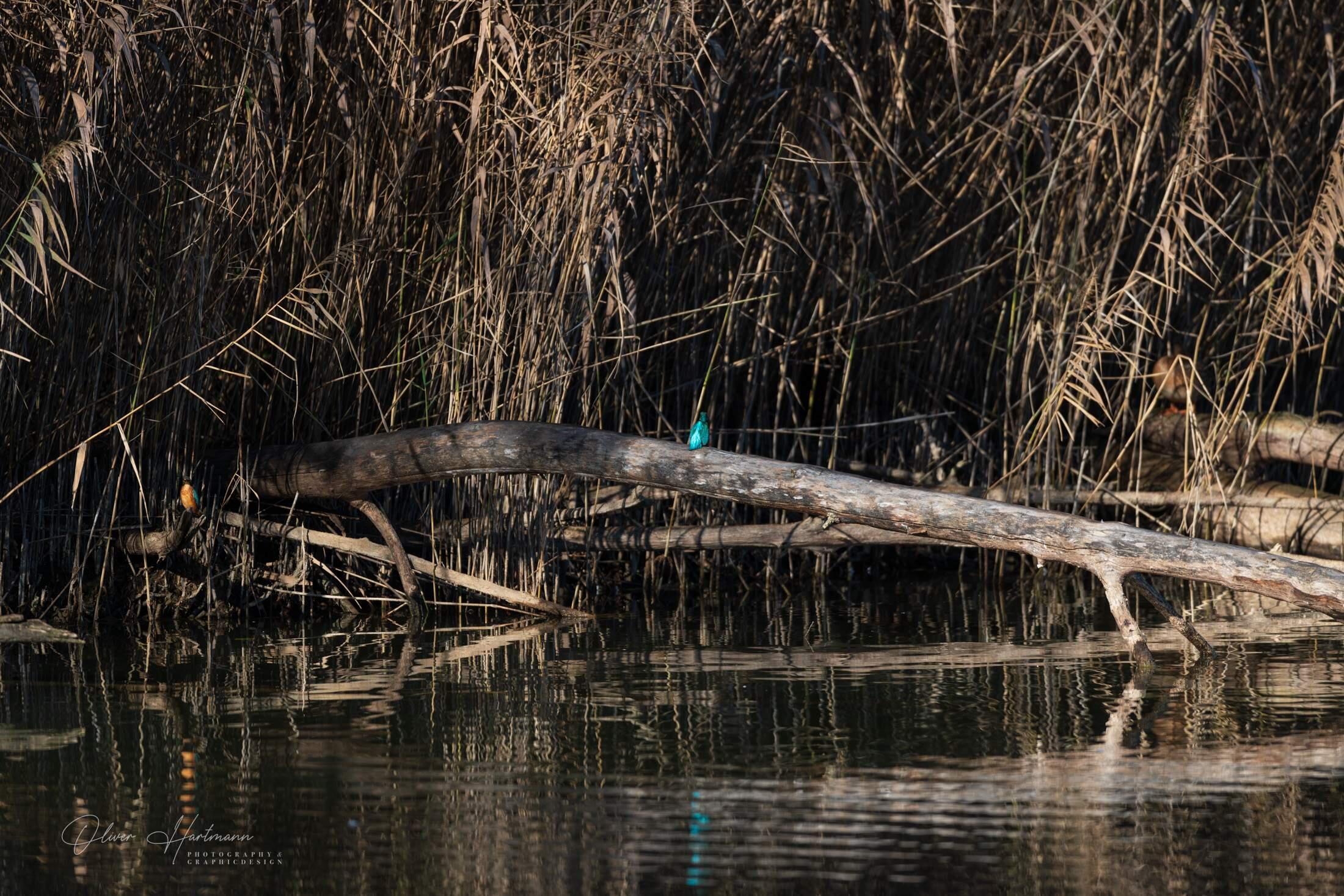 Bild ohne Beschreibung Bild ohne Beschreibung