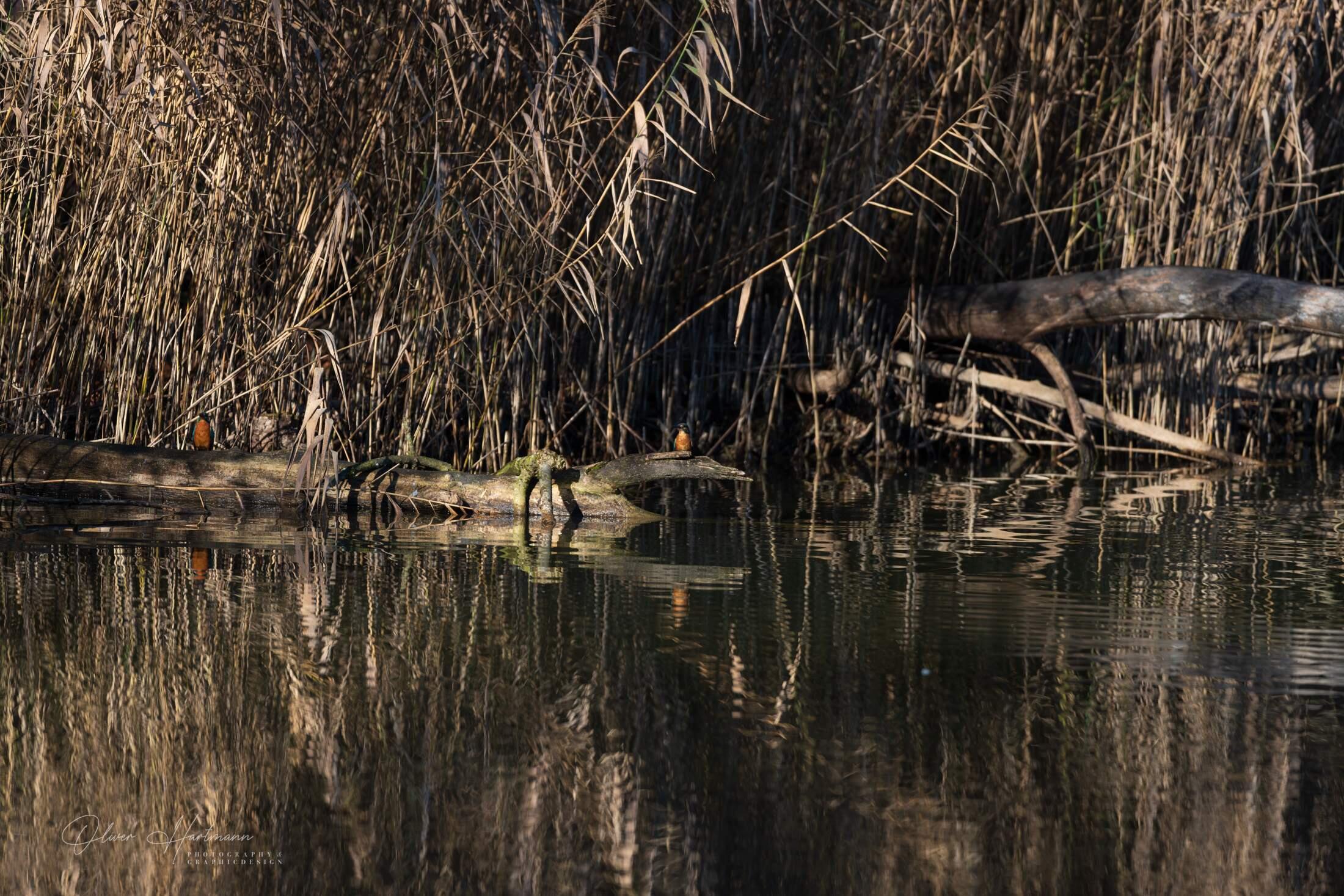 Bild ohne Beschreibung Bild ohne Beschreibung