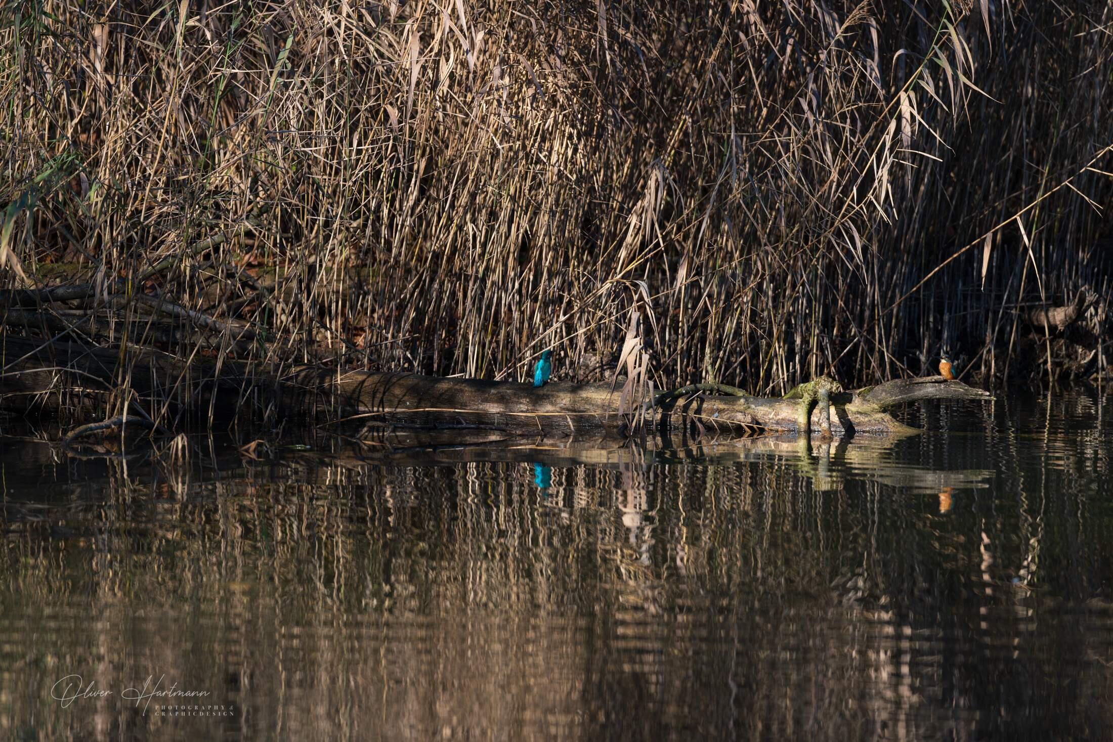 Bild ohne Beschreibung Bild ohne Beschreibung