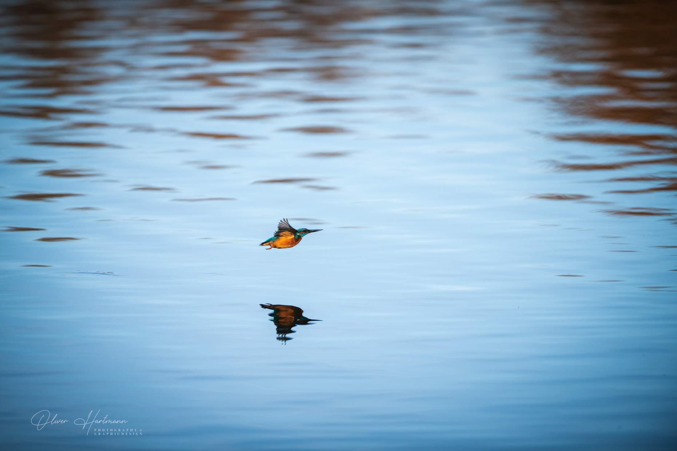 Bild ohne Beschreibung Bild ohne Beschreibung