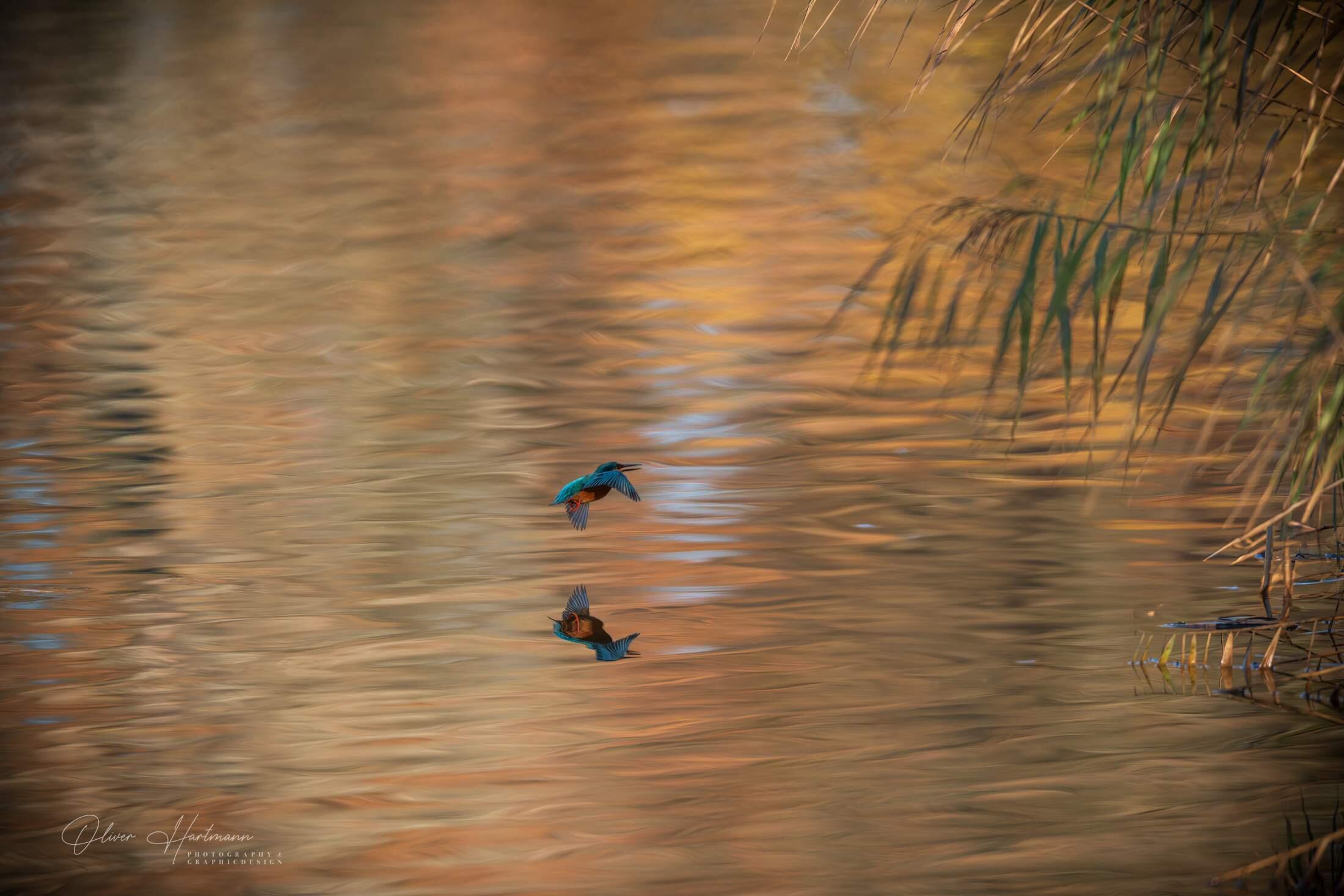 Bild ohne Beschreibung Bild ohne Beschreibung