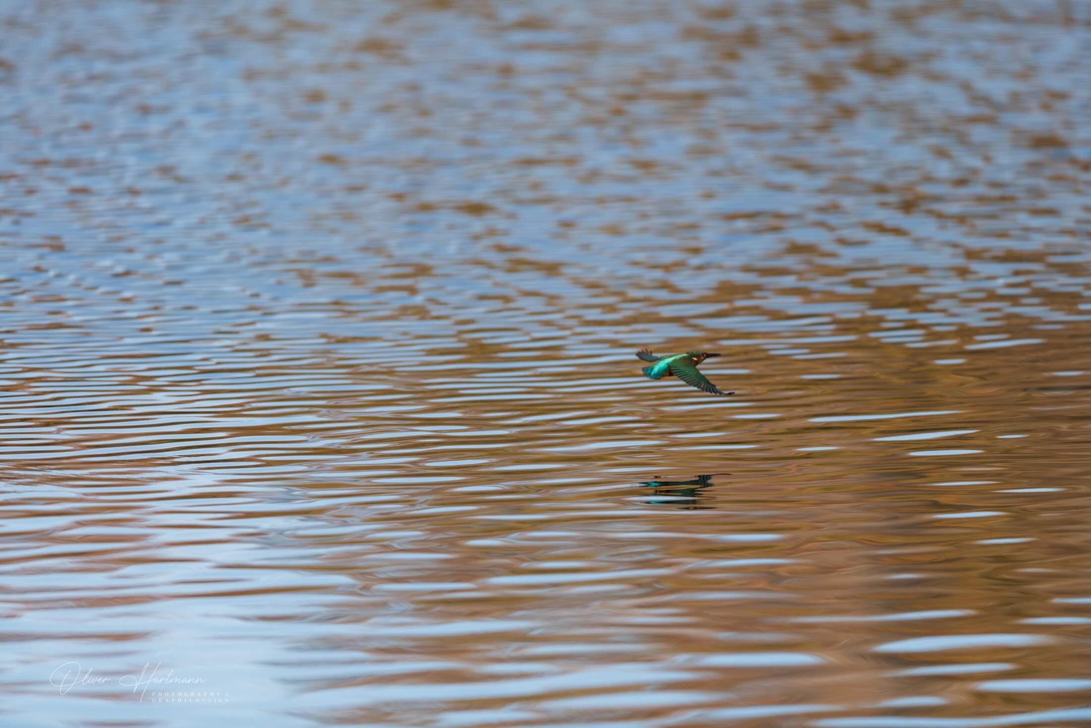 Bild ohne Beschreibung Bild ohne Beschreibung