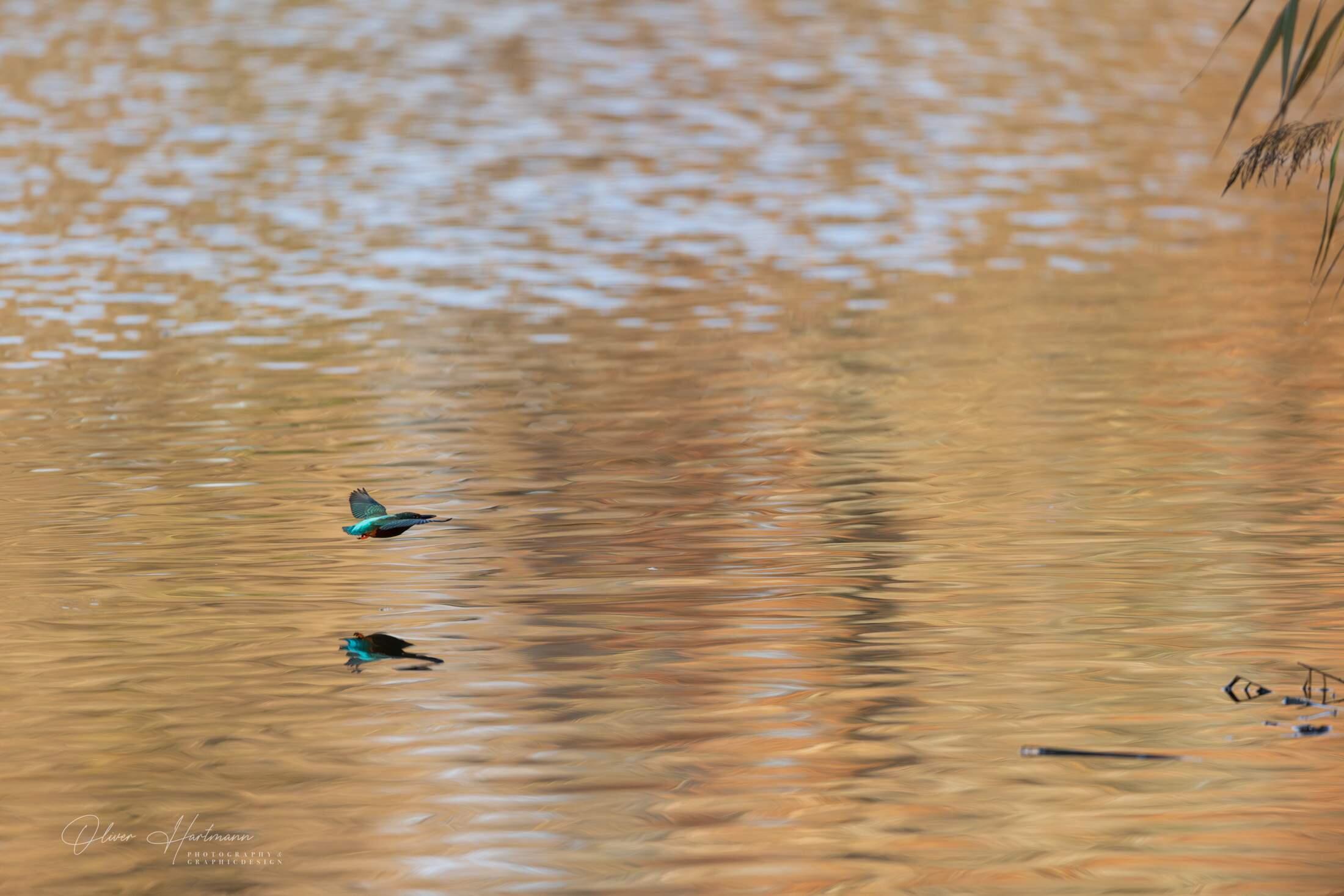 Bild ohne Beschreibung Bild ohne Beschreibung