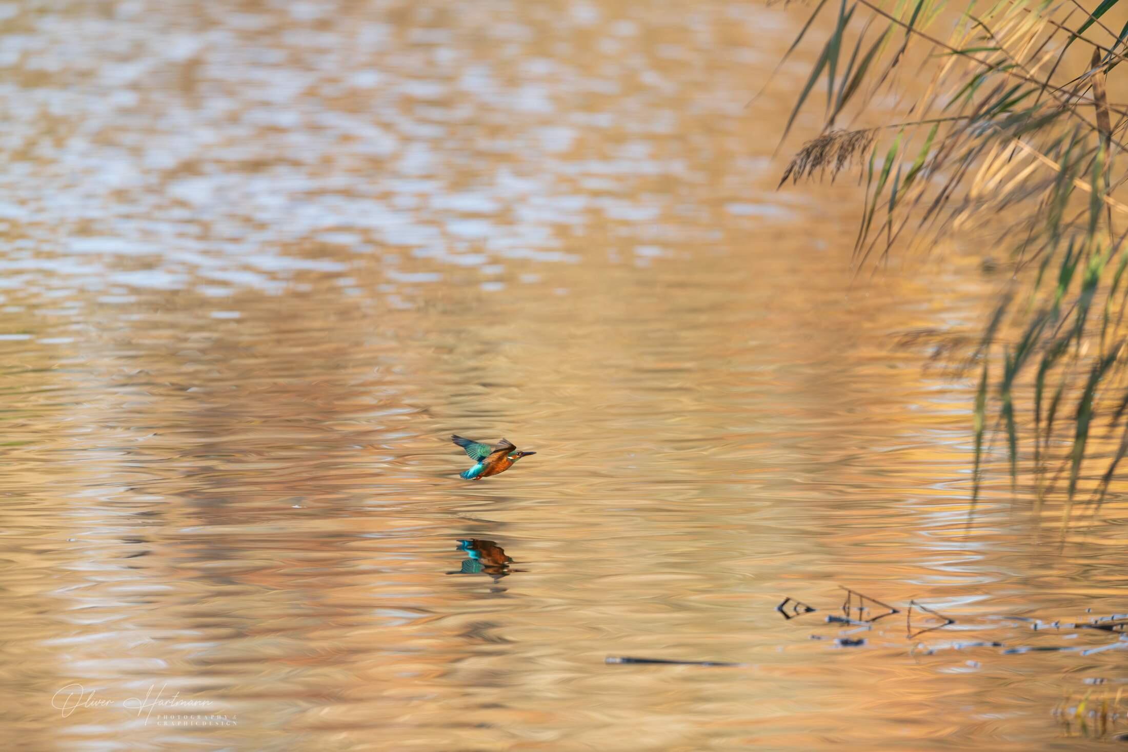 Bild ohne Beschreibung Bild ohne Beschreibung