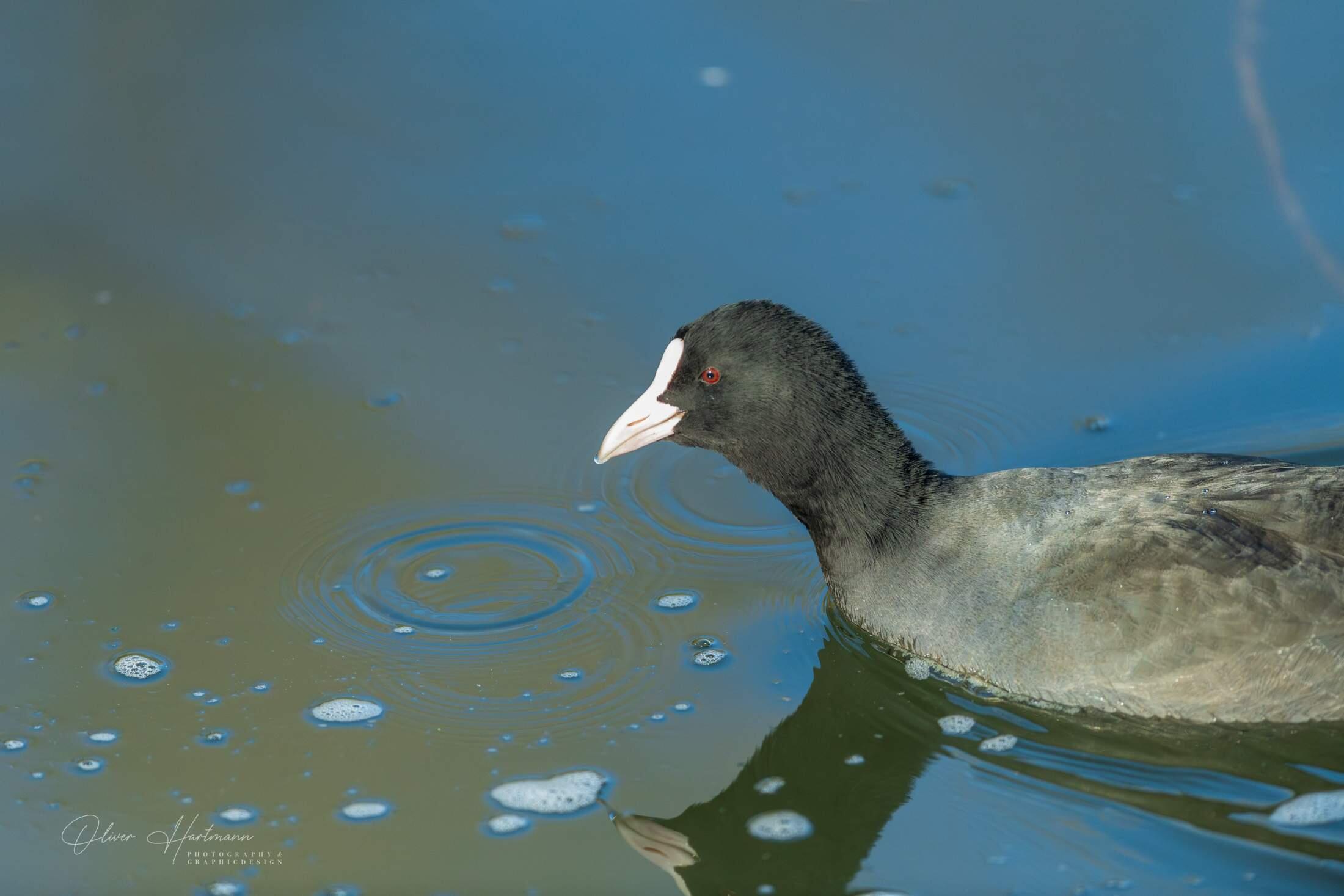 Bild ohne Beschreibung Bild ohne Beschreibung