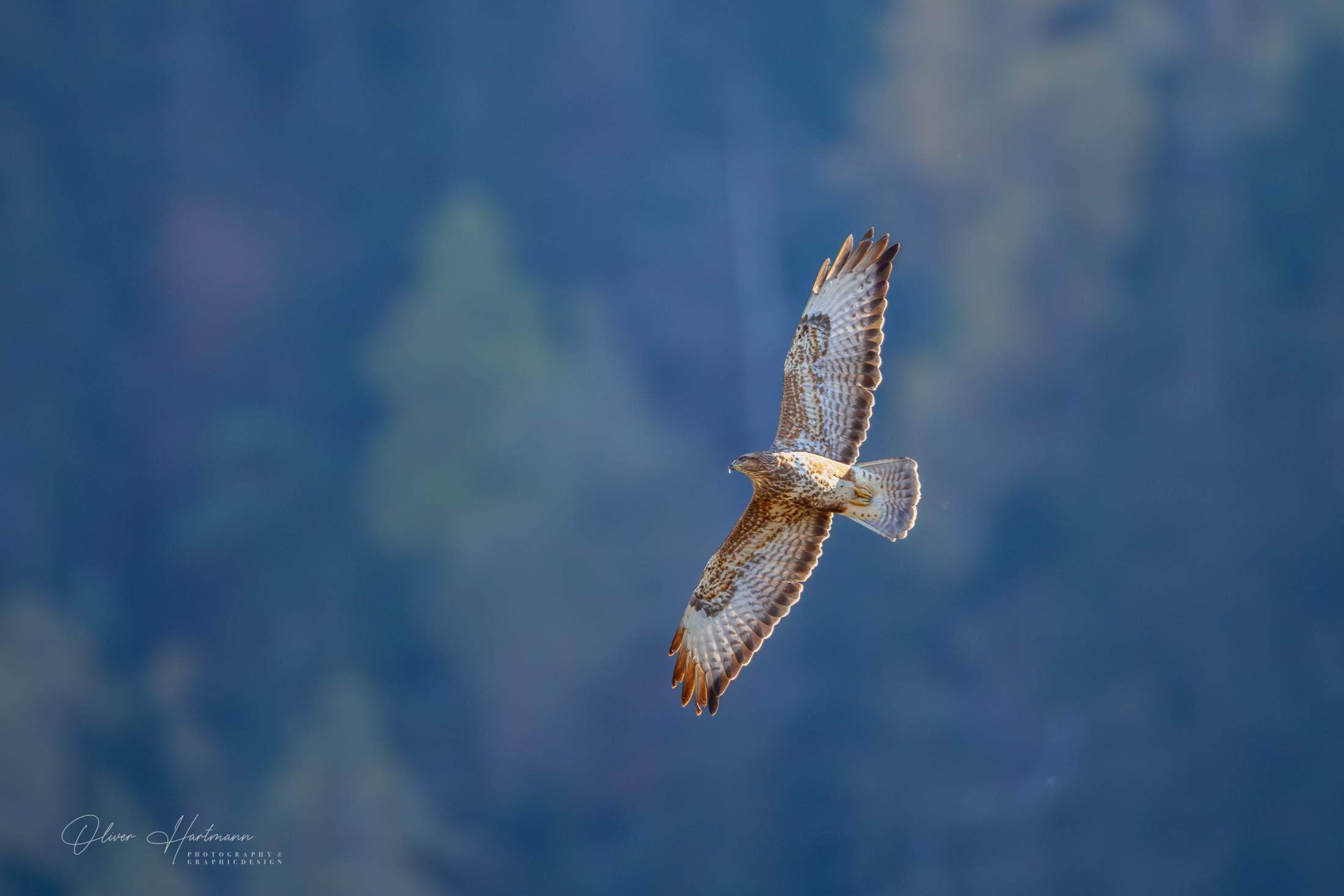Bild ohne Beschreibung Bild ohne Beschreibung