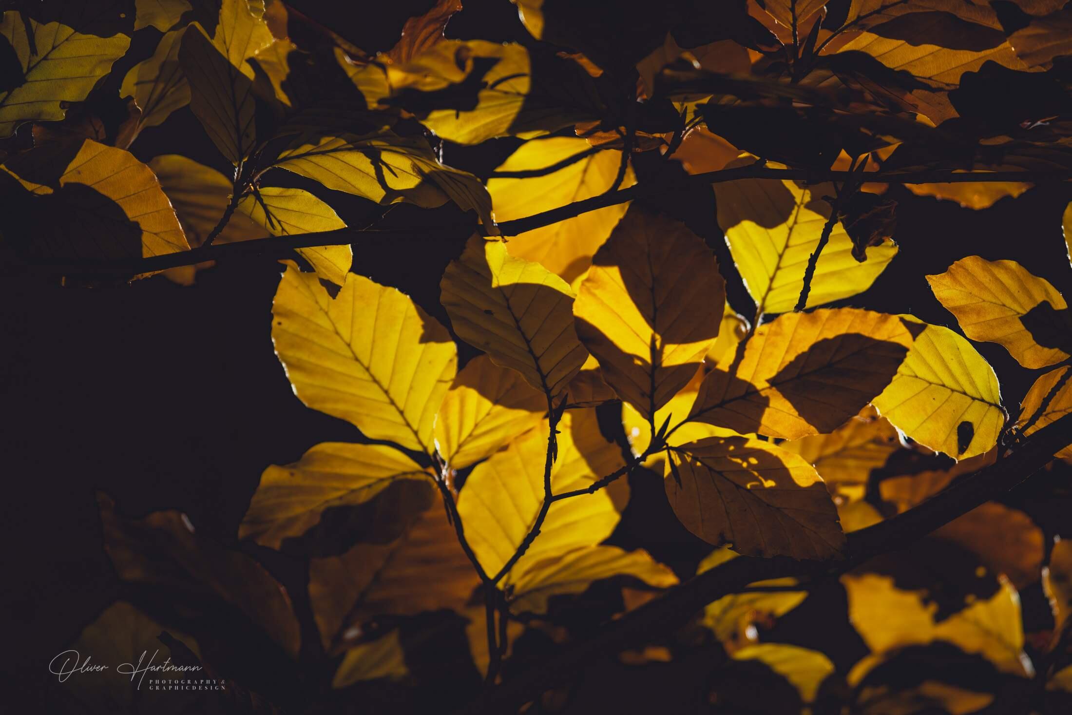 Bild ohne Beschreibung Bild ohne Beschreibung