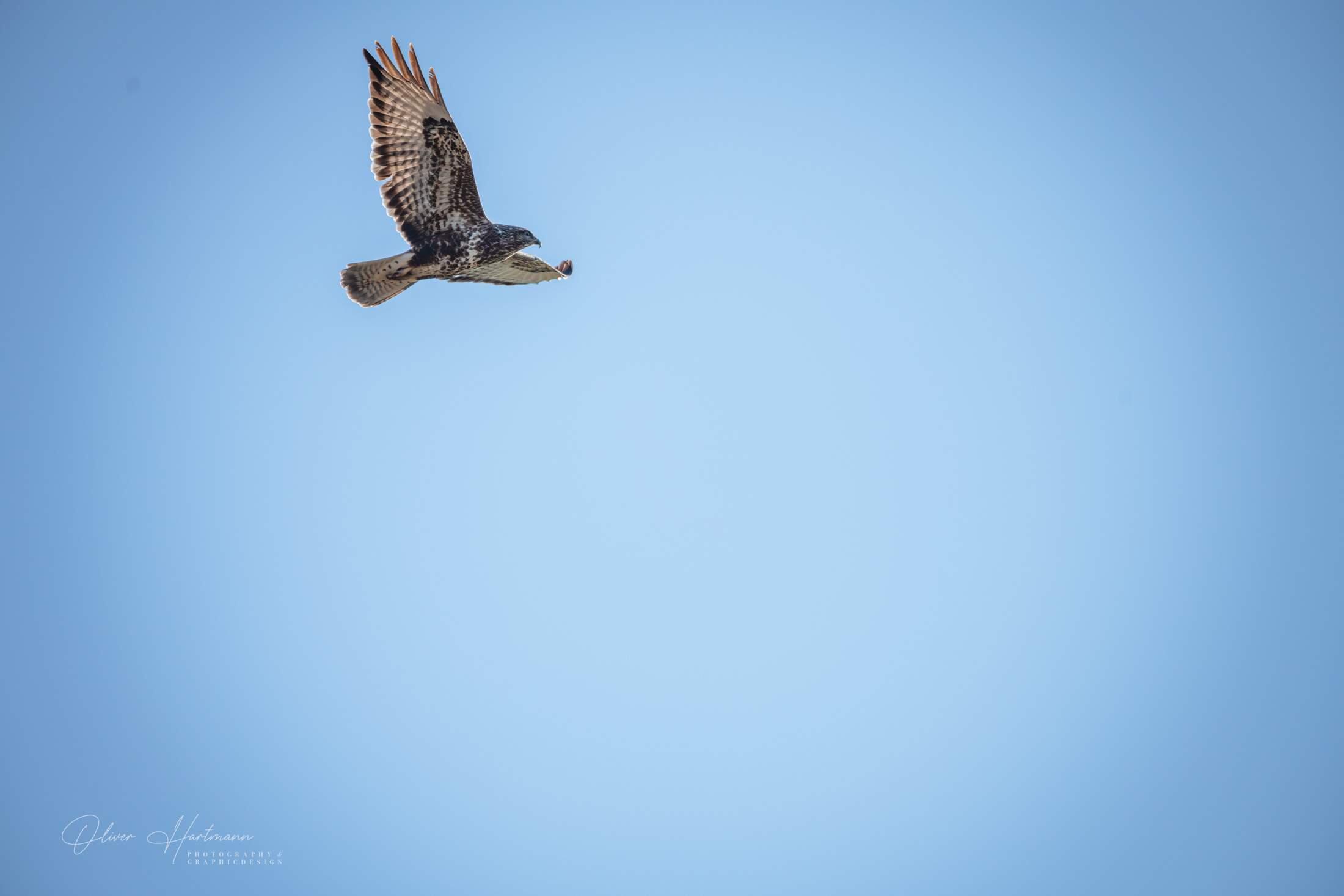 Bild ohne Beschreibung Bild ohne Beschreibung