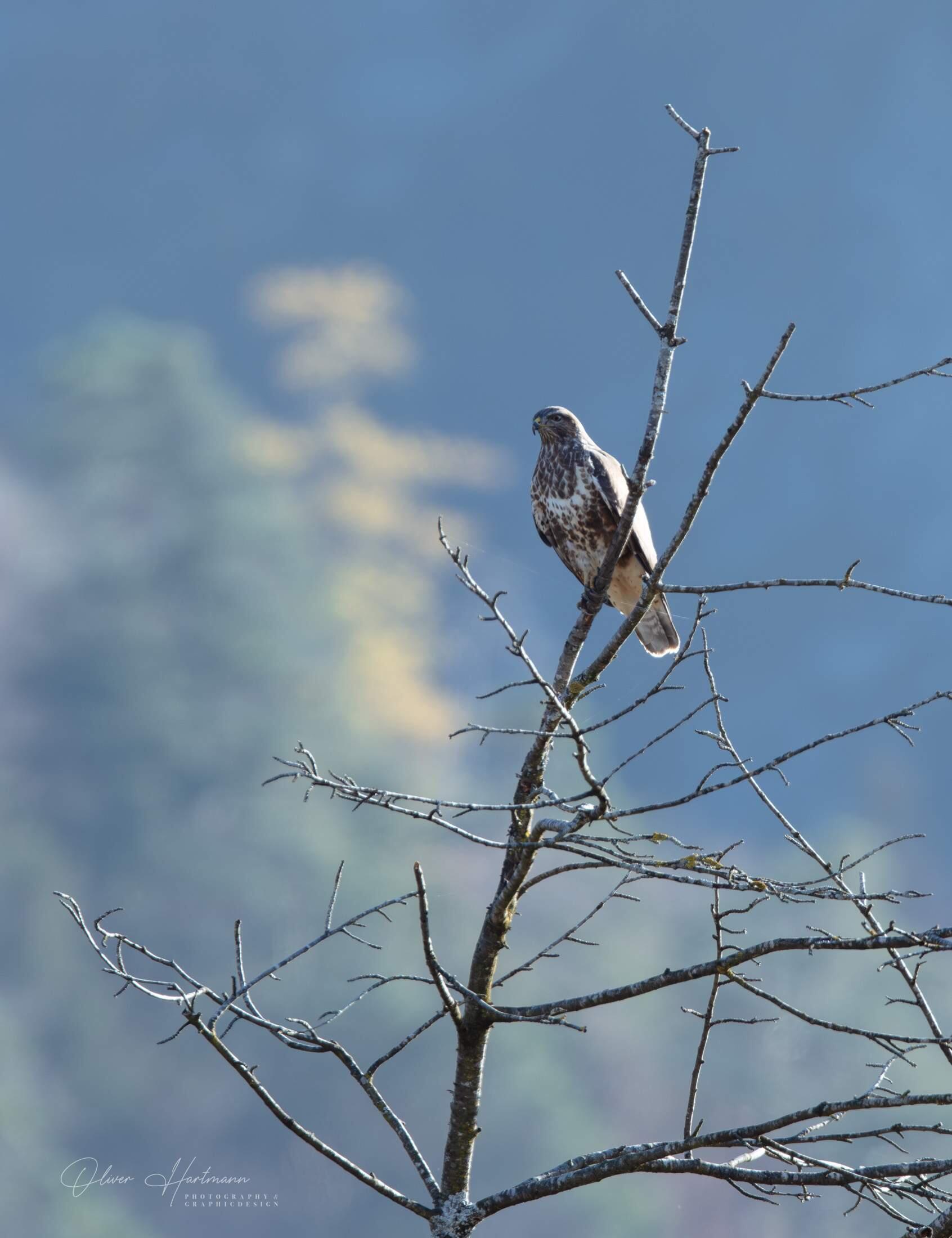 Bild ohne Beschreibung Bild ohne Beschreibung