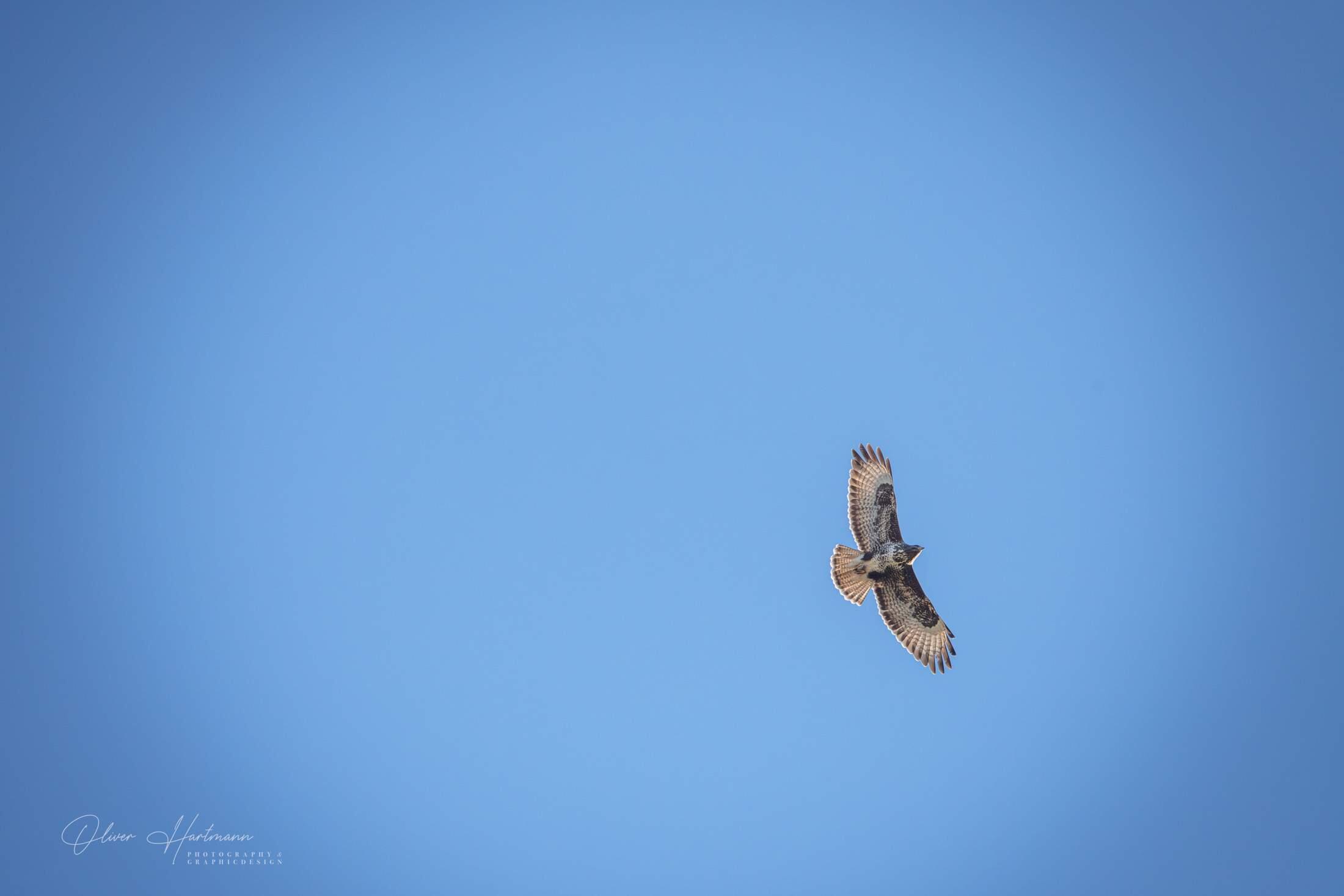 Bild ohne Beschreibung Bild ohne Beschreibung