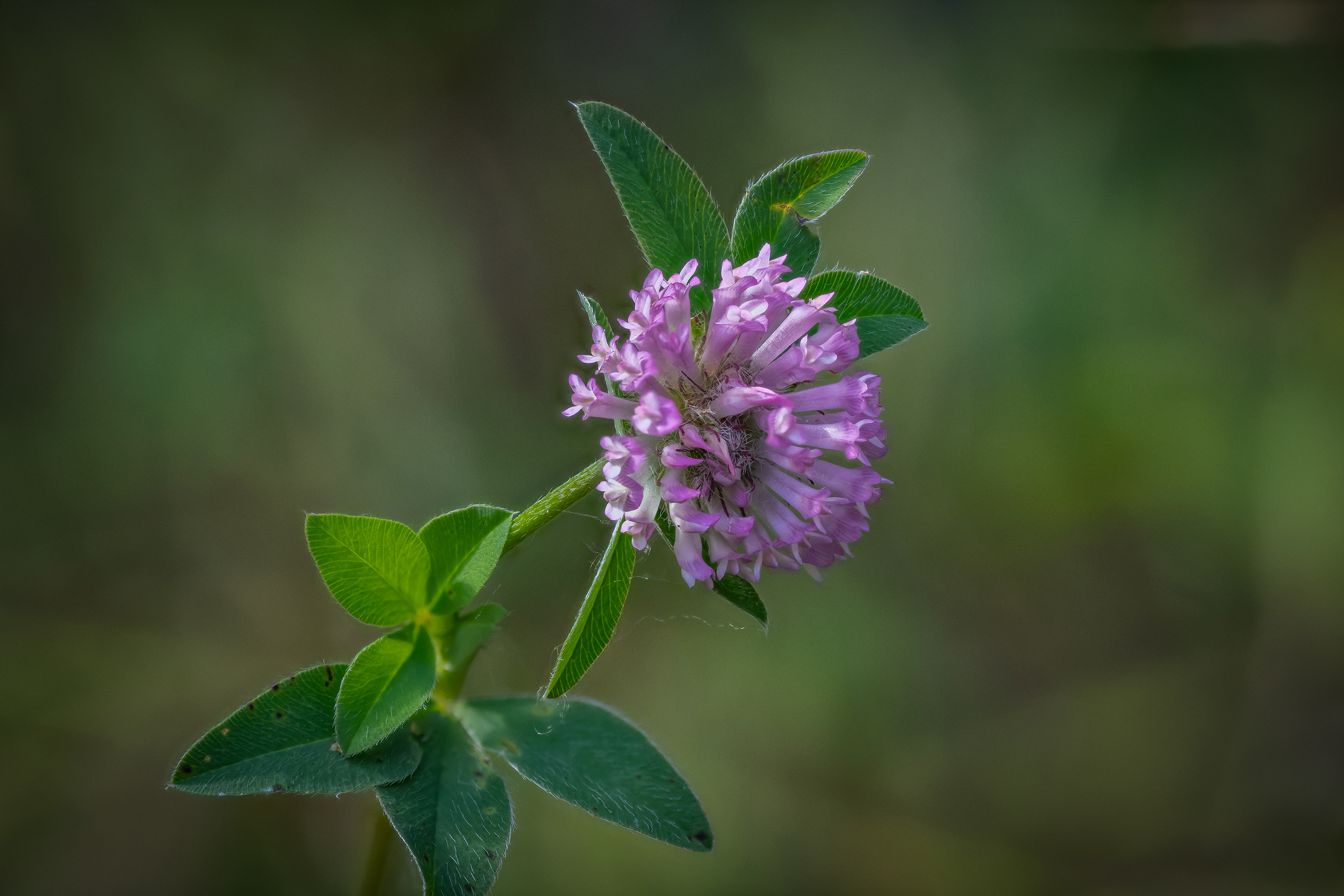 2025 09 16 19.17.03 zs pmax 2025 09 16 19.17.03 zs pmax