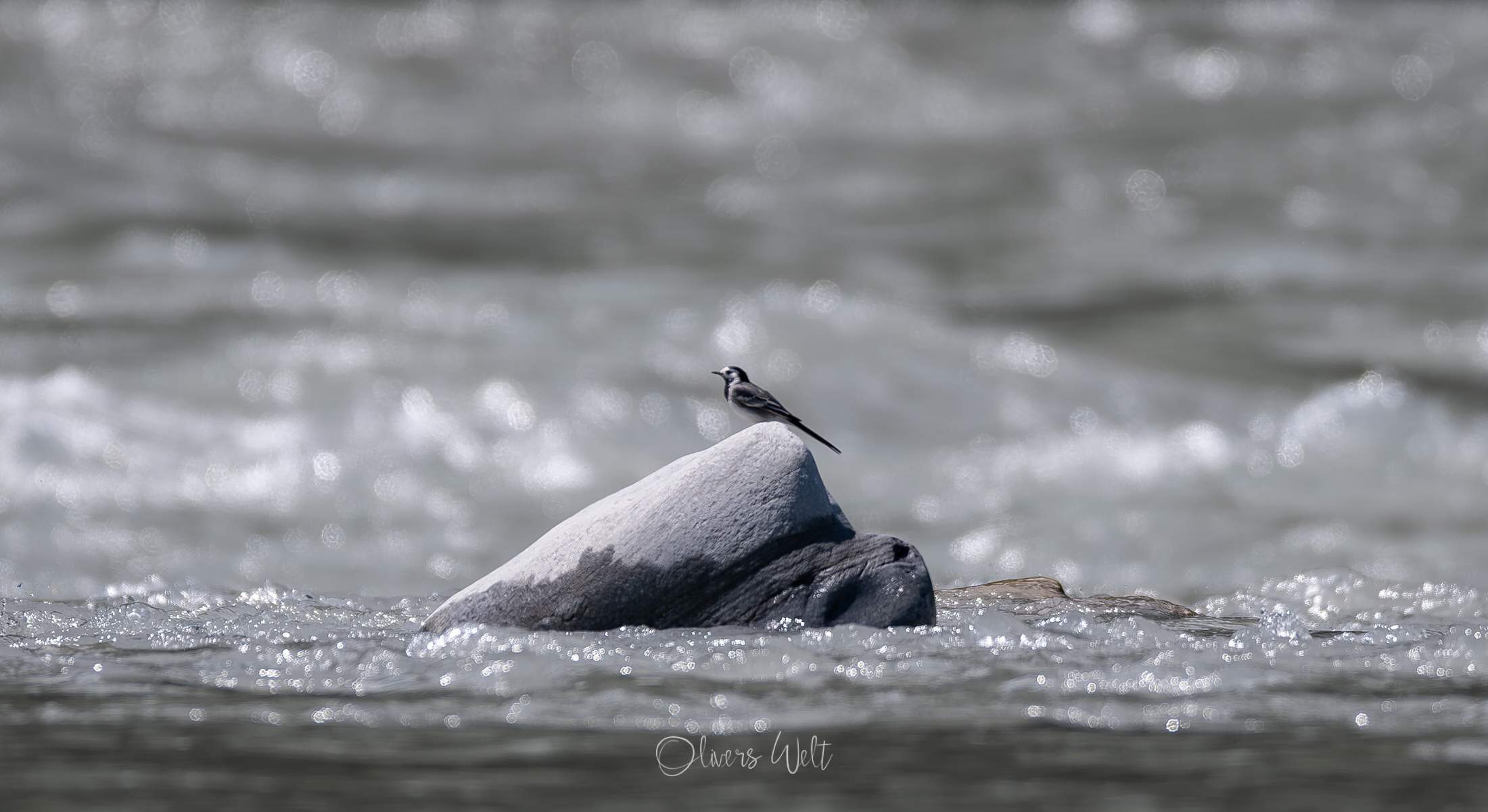 Bild ohne Beschreibung