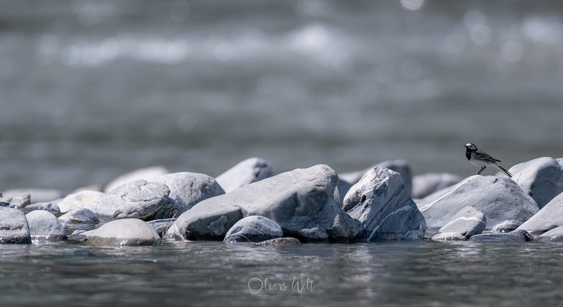 Bild ohne Beschreibung