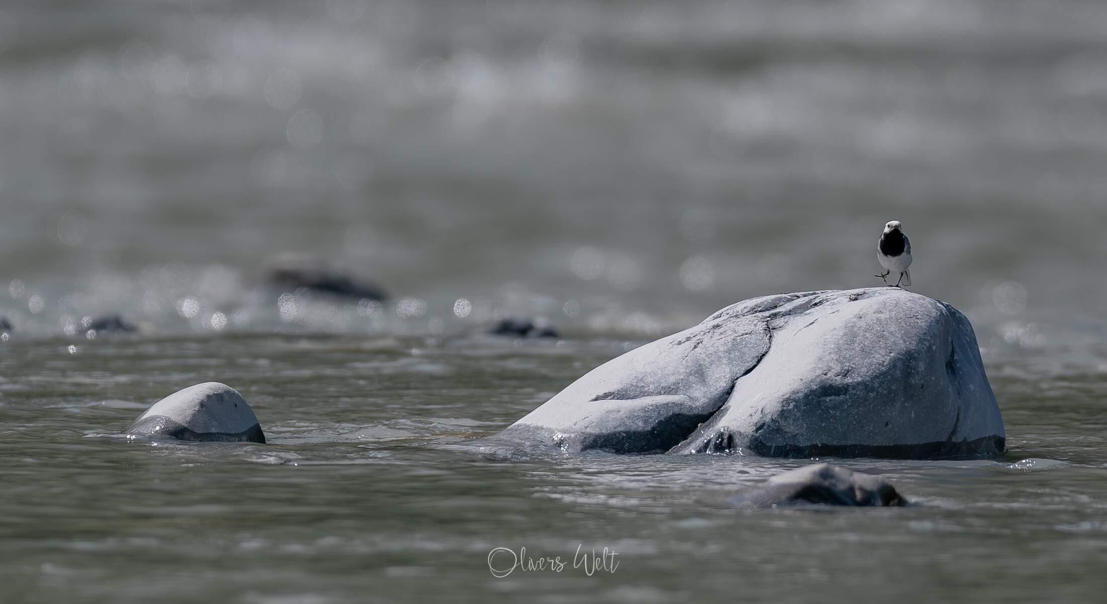 Bild ohne Beschreibung