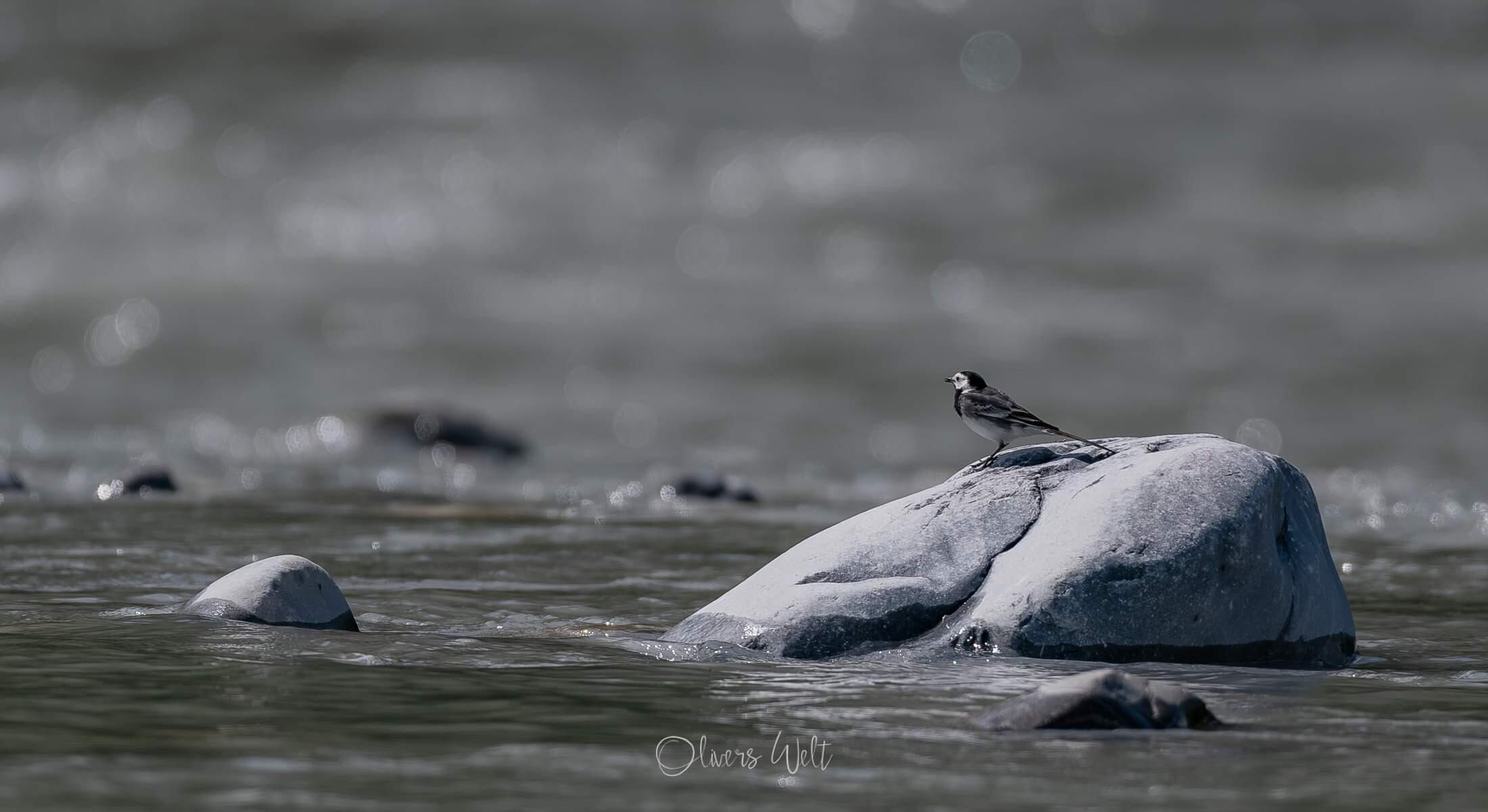 Bild ohne Beschreibung