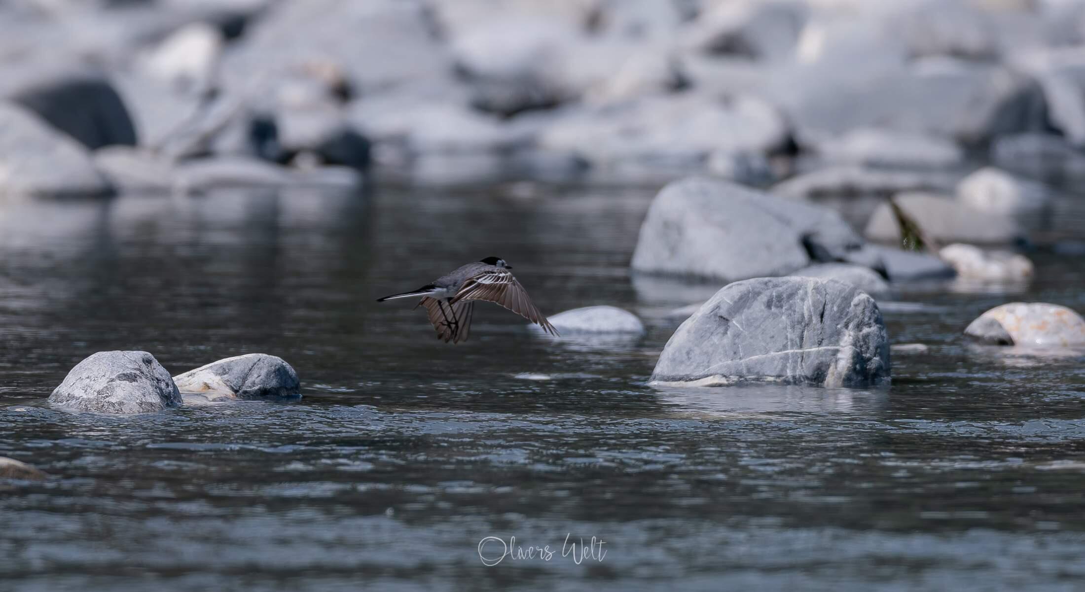 Bild ohne Beschreibung