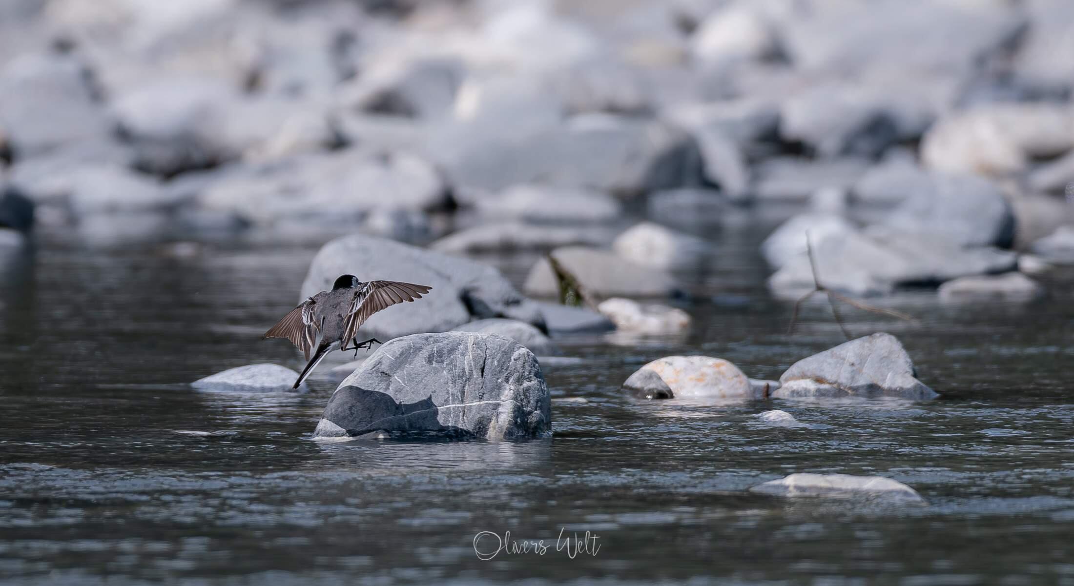 Bild ohne Beschreibung