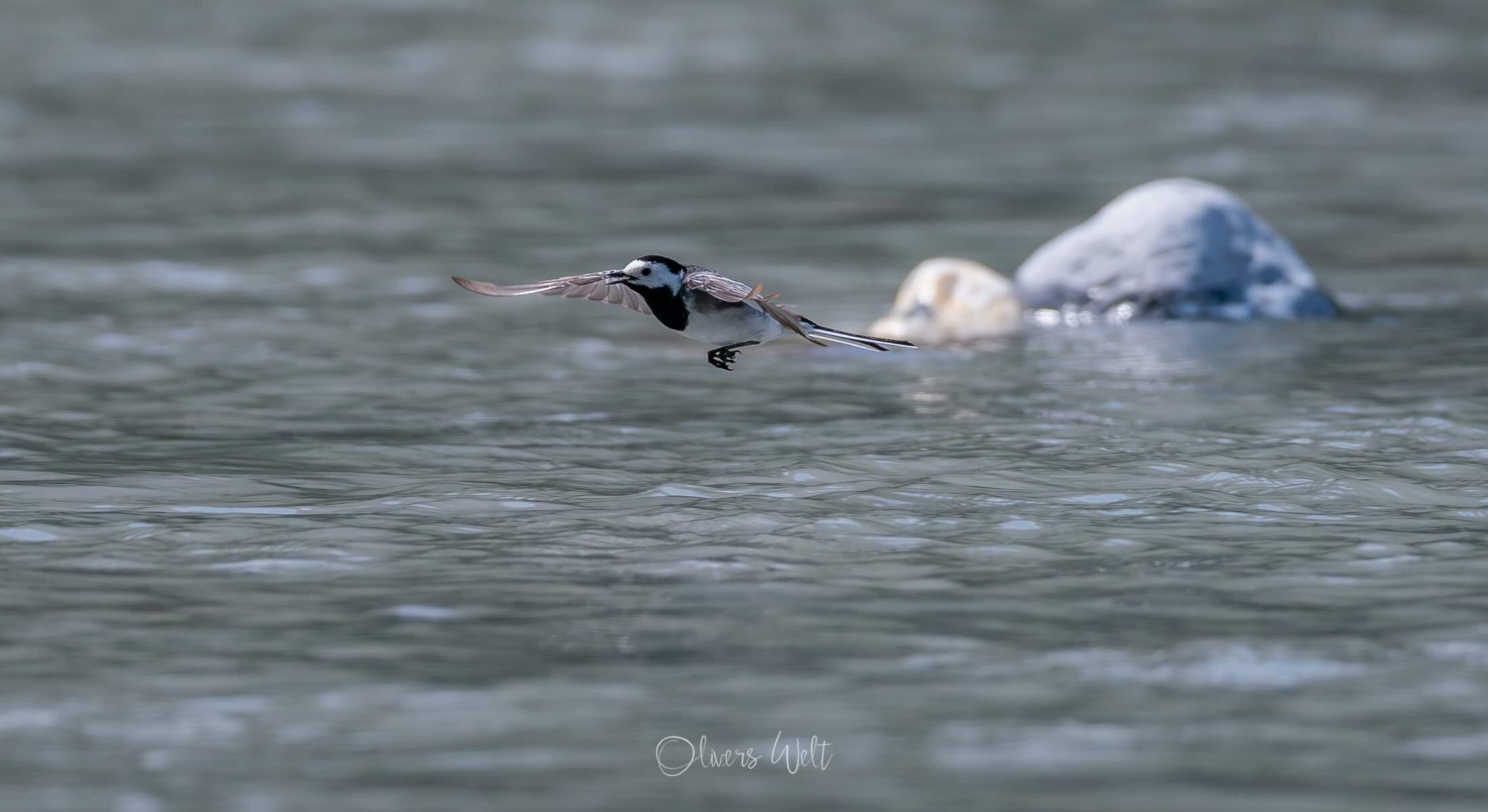 Bild ohne Beschreibung